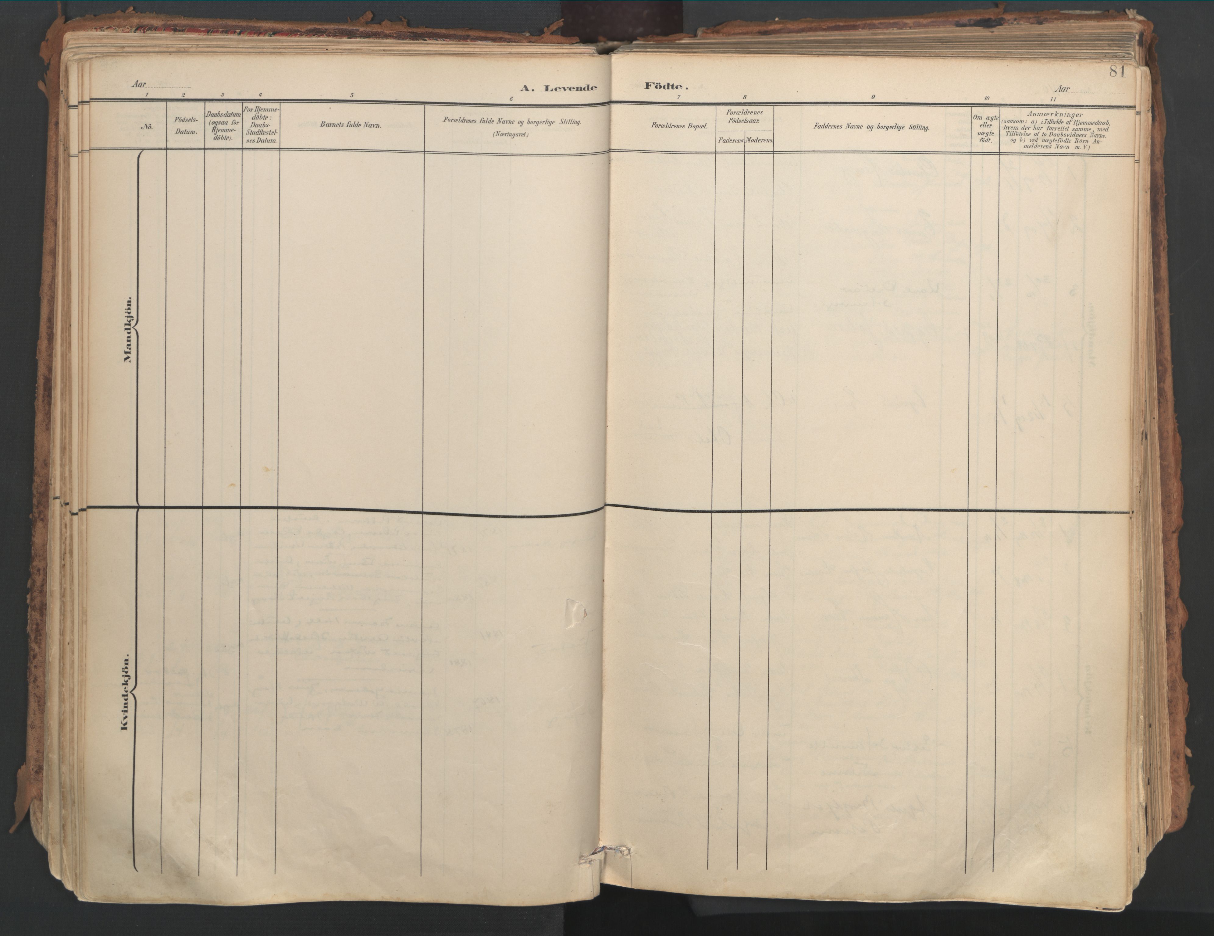 Ministerialprotokoller, klokkerbøker og fødselsregistre - Nordland, SAT/A-1459/882/L1180: Parish register (official) no. 882A02, 1897-1913, p. 81