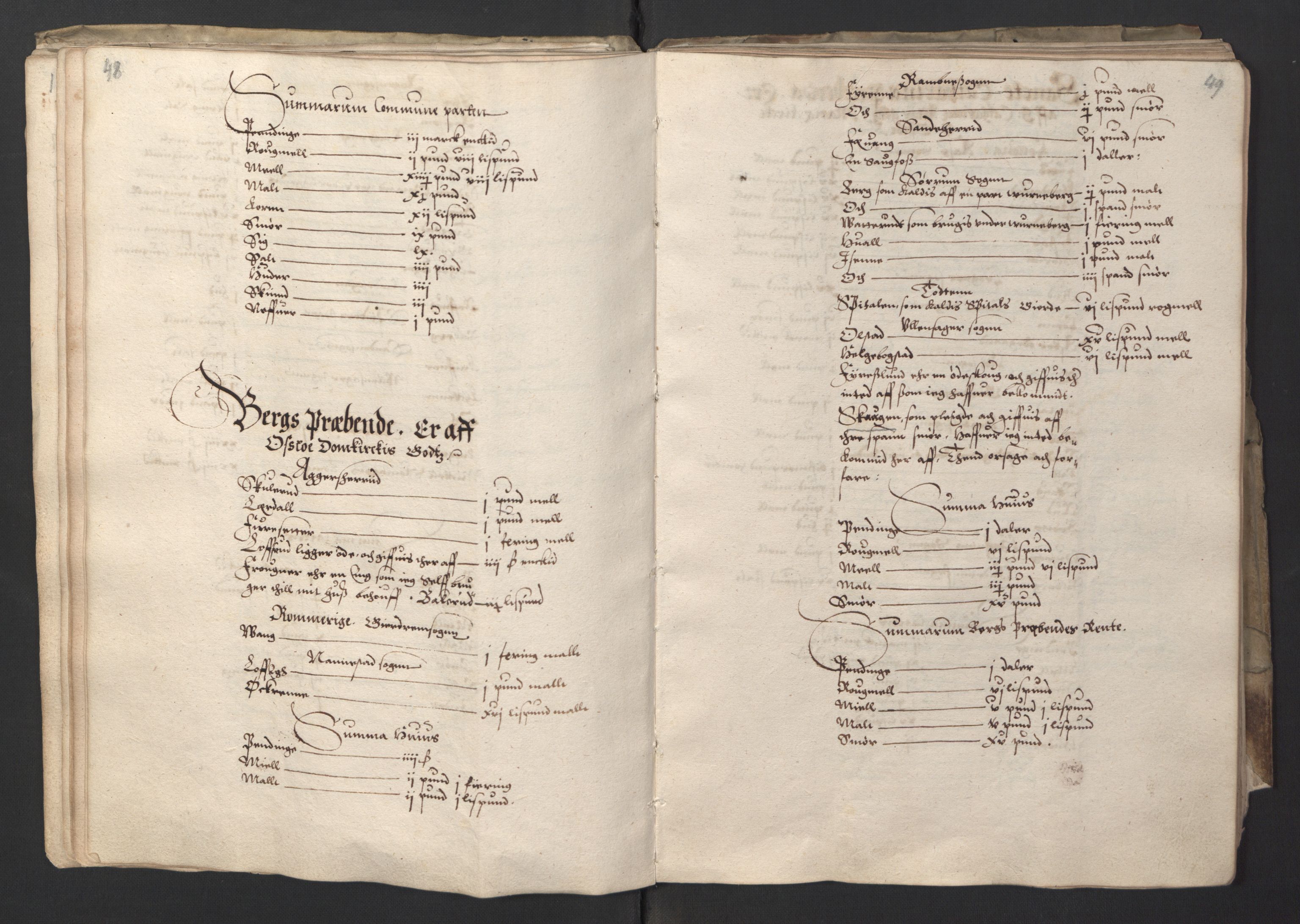 Stattholderembetet 1572-1771, RA/EA-2870/Ek/L0001/0001: Jordebøker før 1624 og til utligning av garnisonsskatt 1624-1626: / Jordebok for Oslo kapitel, 1595, p. 30