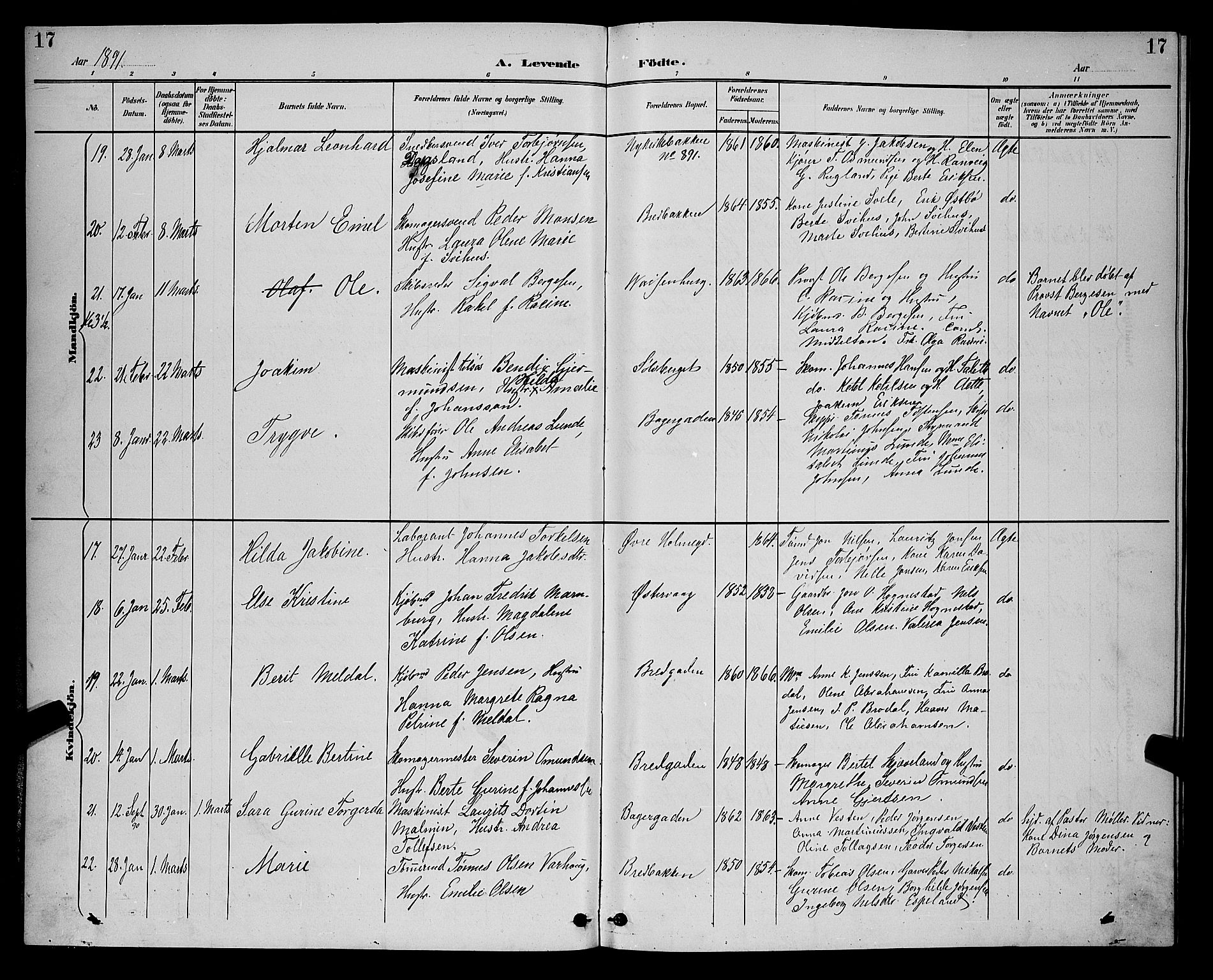 St. Petri sokneprestkontor, AV/SAST-A-101813/001/30/30BB/L0006: Parish register (copy) no. B 6, 1890-1897, p. 17