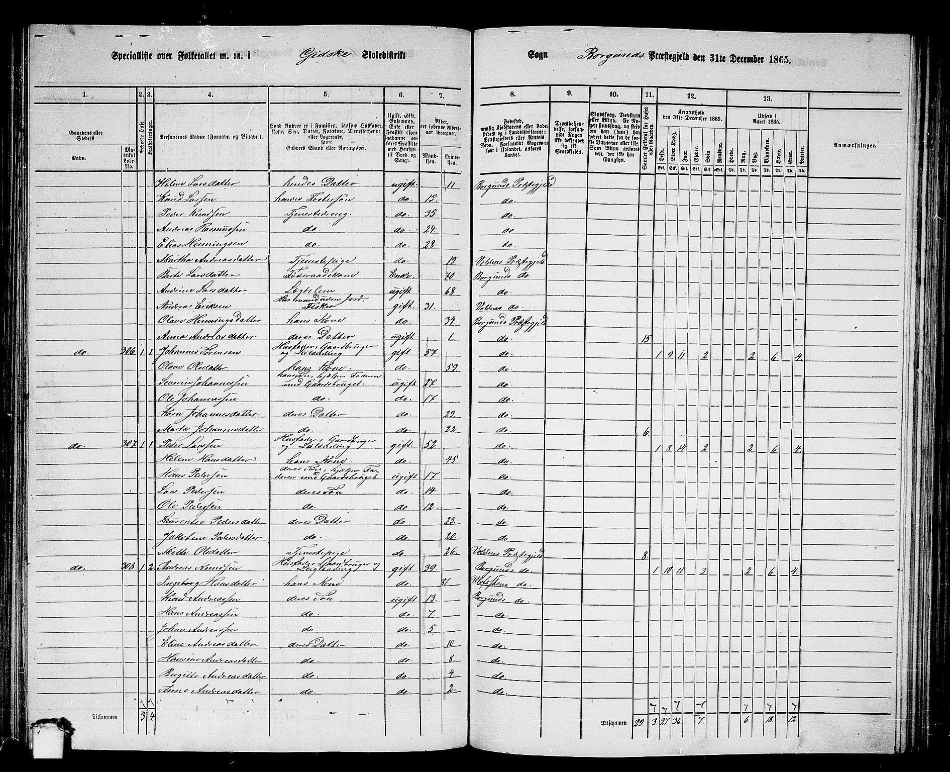 RA, 1865 census for Borgund, 1865, p. 135