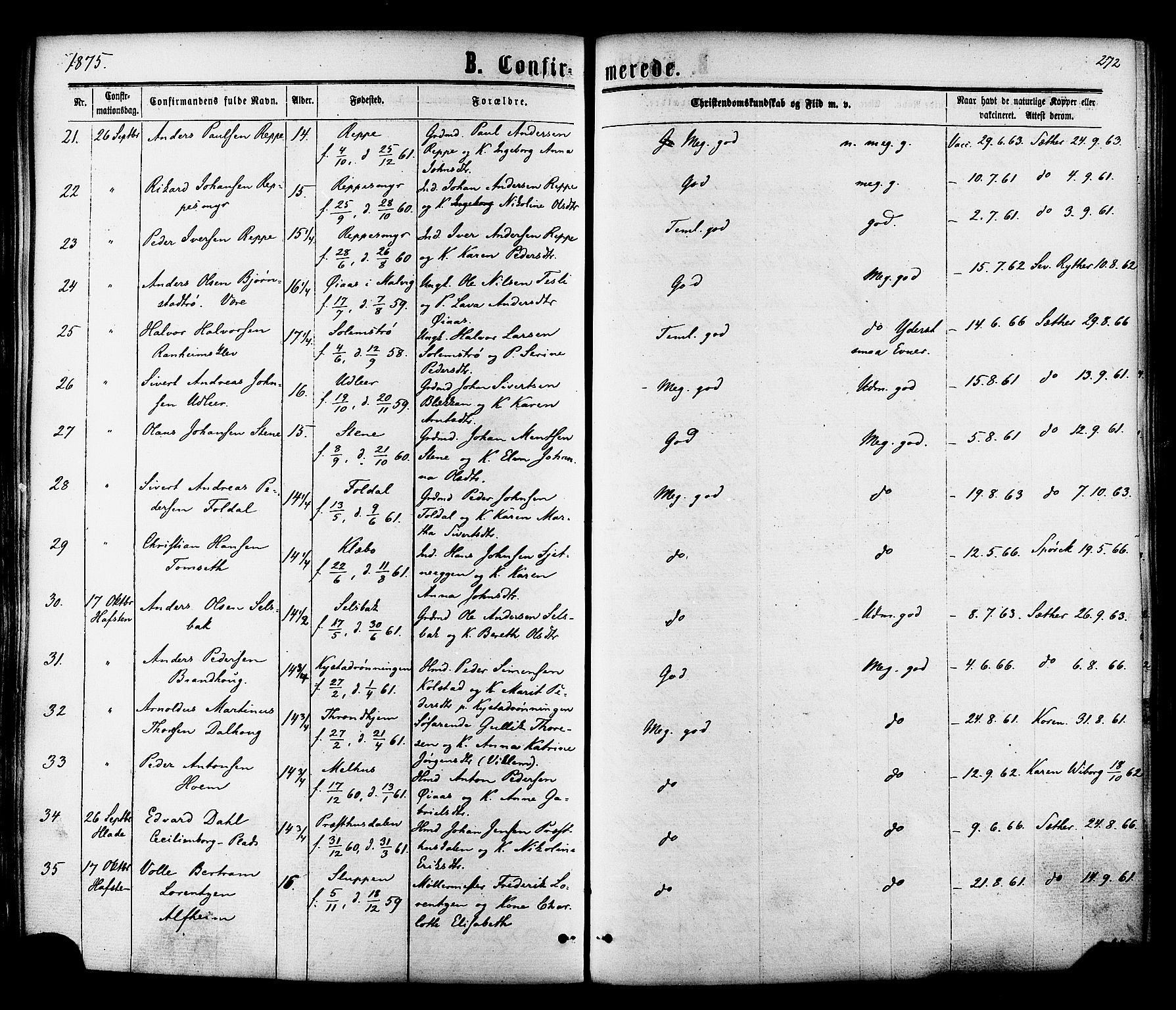 Ministerialprotokoller, klokkerbøker og fødselsregistre - Sør-Trøndelag, AV/SAT-A-1456/606/L0293: Parish register (official) no. 606A08, 1866-1877, p. 272