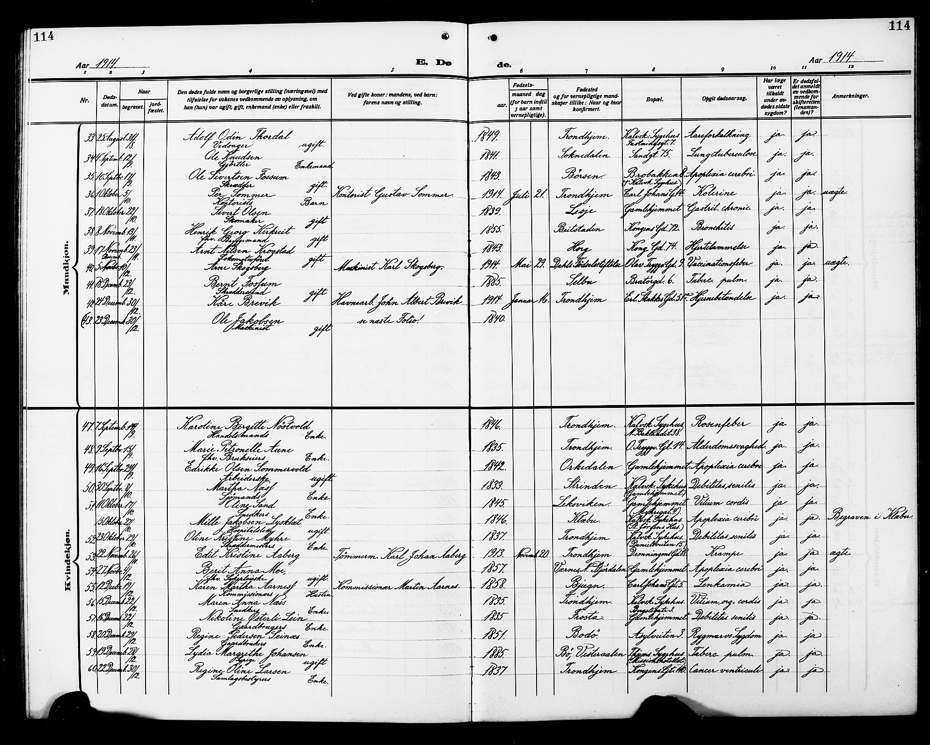 Ministerialprotokoller, klokkerbøker og fødselsregistre - Sør-Trøndelag, SAT/A-1456/602/L0147: Parish register (copy) no. 602C15, 1911-1924, p. 114