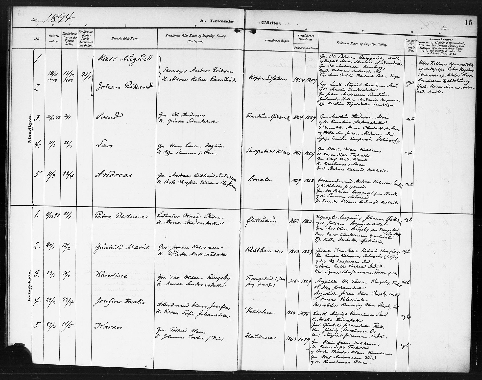 Rødenes prestekontor Kirkebøker, AV/SAO-A-2005/F/Fb/L0002: Parish register (official) no. II 2, 1890-1900, p. 15