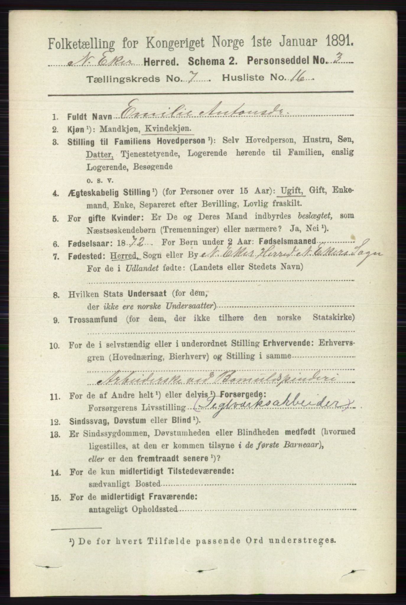 RA, 1891 census for 0625 Nedre Eiker, 1891, p. 3496