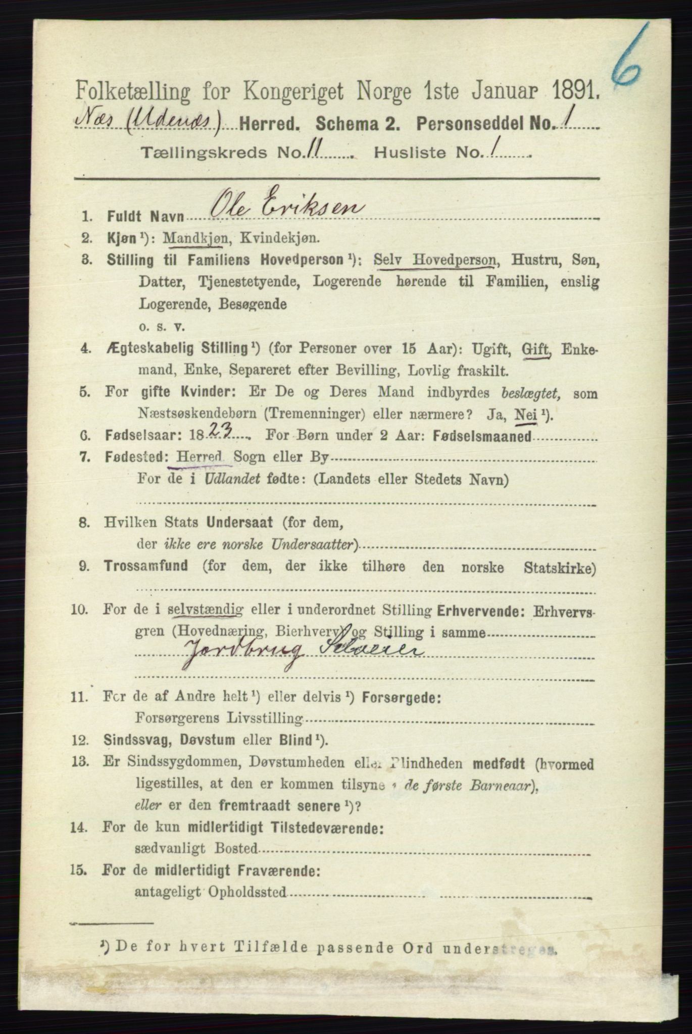 RA, 1891 census for 0236 Nes, 1891, p. 6351