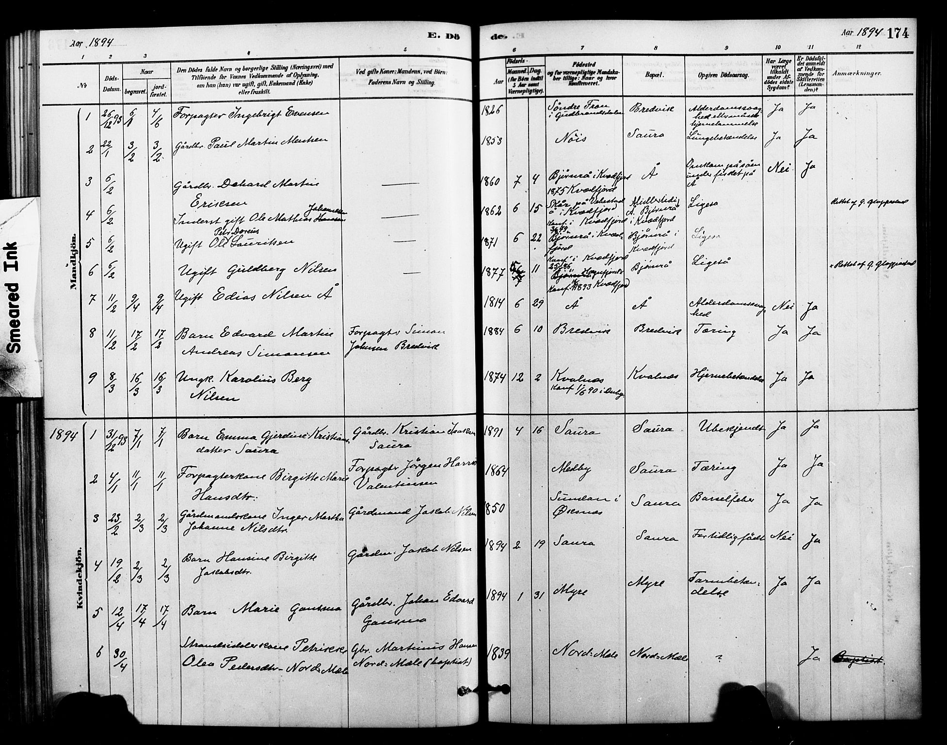 Ministerialprotokoller, klokkerbøker og fødselsregistre - Nordland, AV/SAT-A-1459/897/L1399: Parish register (official) no. 897C06, 1881-1896, p. 174