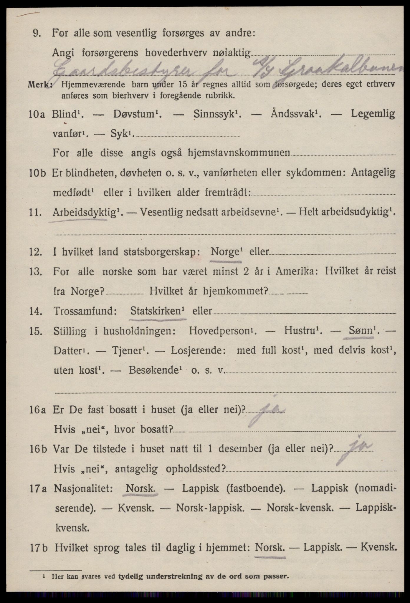 SAT, 1920 census for Strinda, 1920, p. 26113