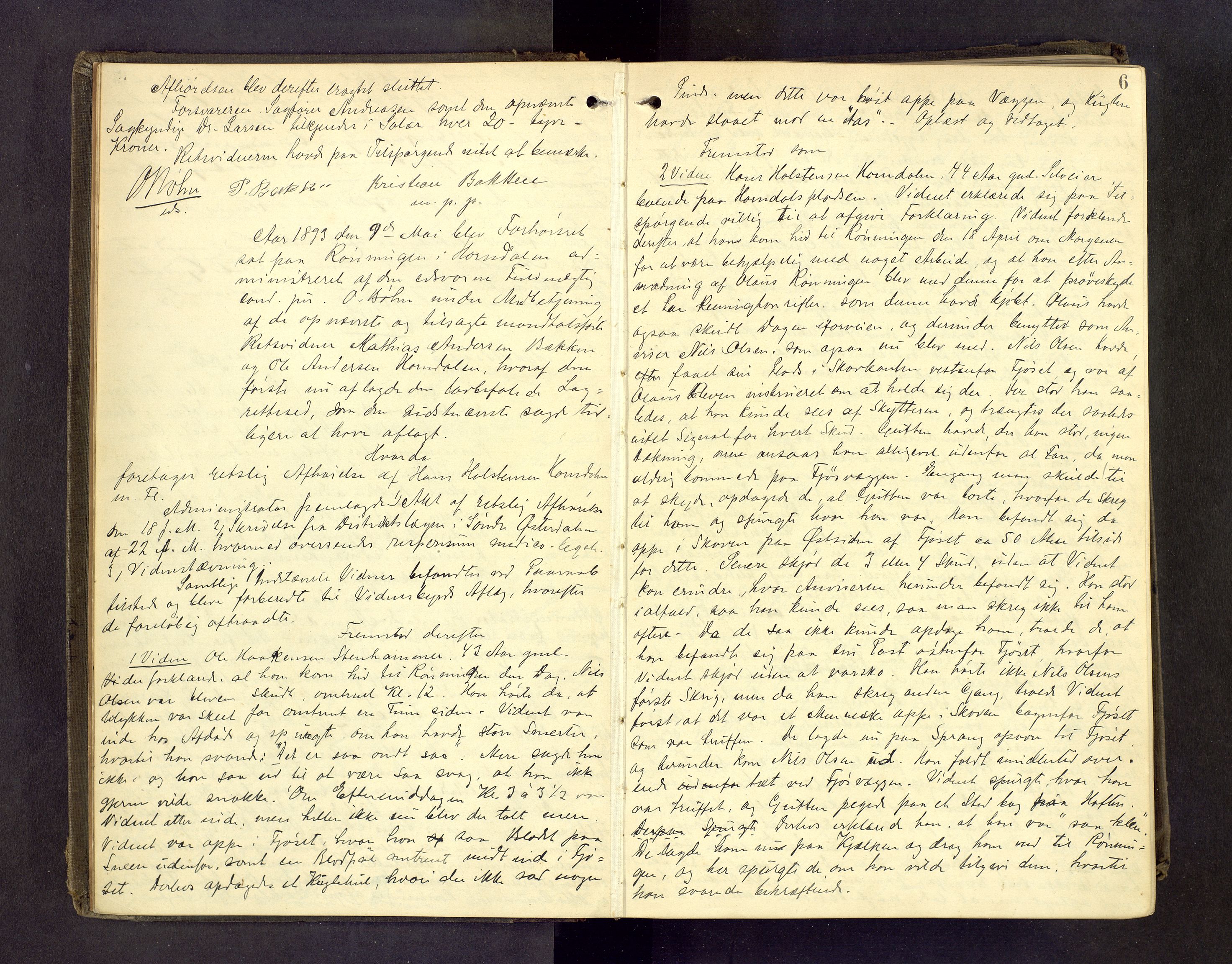 Sør-Østerdal sorenskriveri, AV/SAH-TING-018/G/Gc/L0026: Ekstrarettsprotokoll, 1892-1904, p. 5b-6a