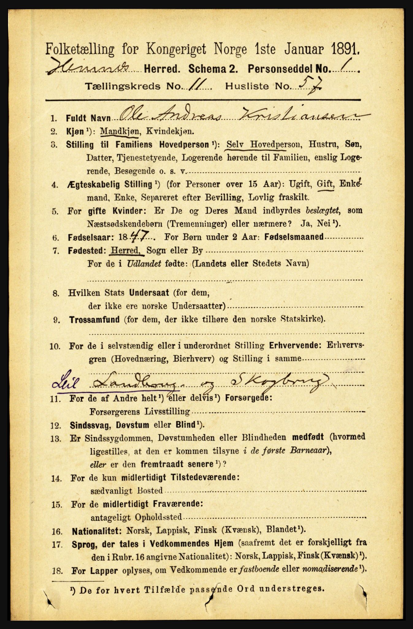 RA, 1891 census for 1832 Hemnes, 1891, p. 5695