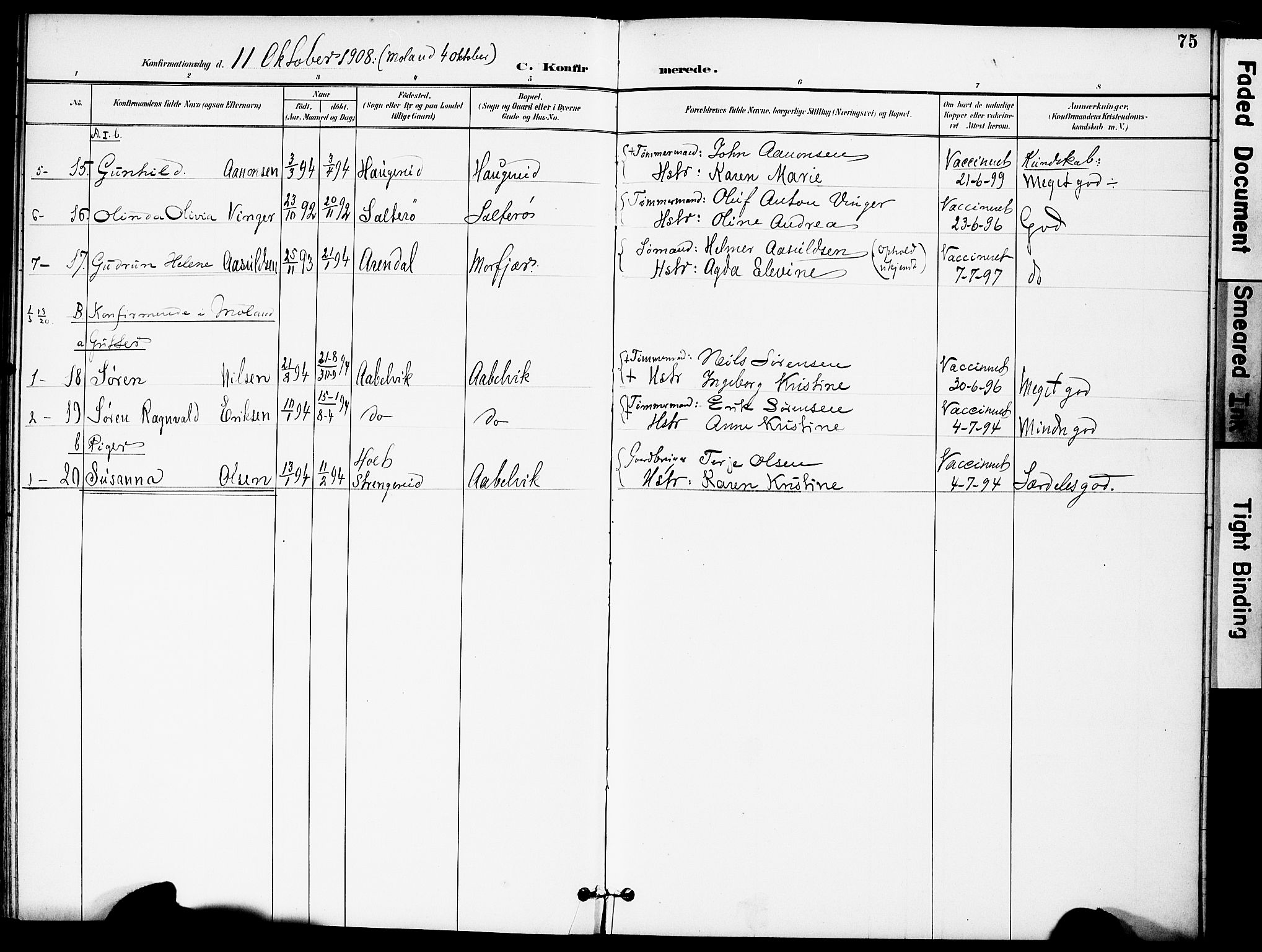 Austre Moland sokneprestkontor, AV/SAK-1111-0001/F/Fa/Fab/L0002: Parish register (official) no. A 2, 1894-1919, p. 75