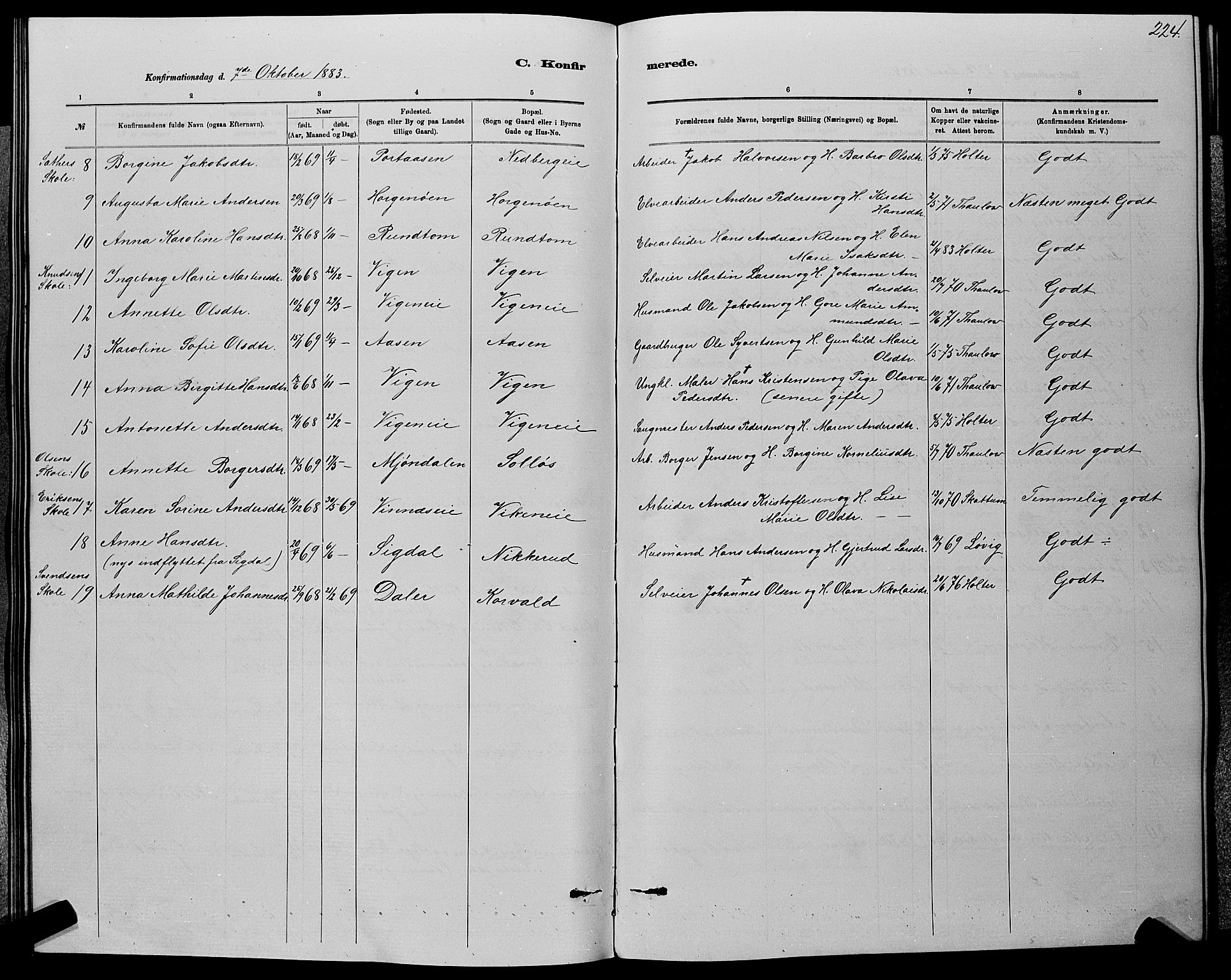 Nedre Eiker kirkebøker, AV/SAKO-A-612/G/Ga/L0002: Parish register (copy) no. 2, 1880-1896, p. 224