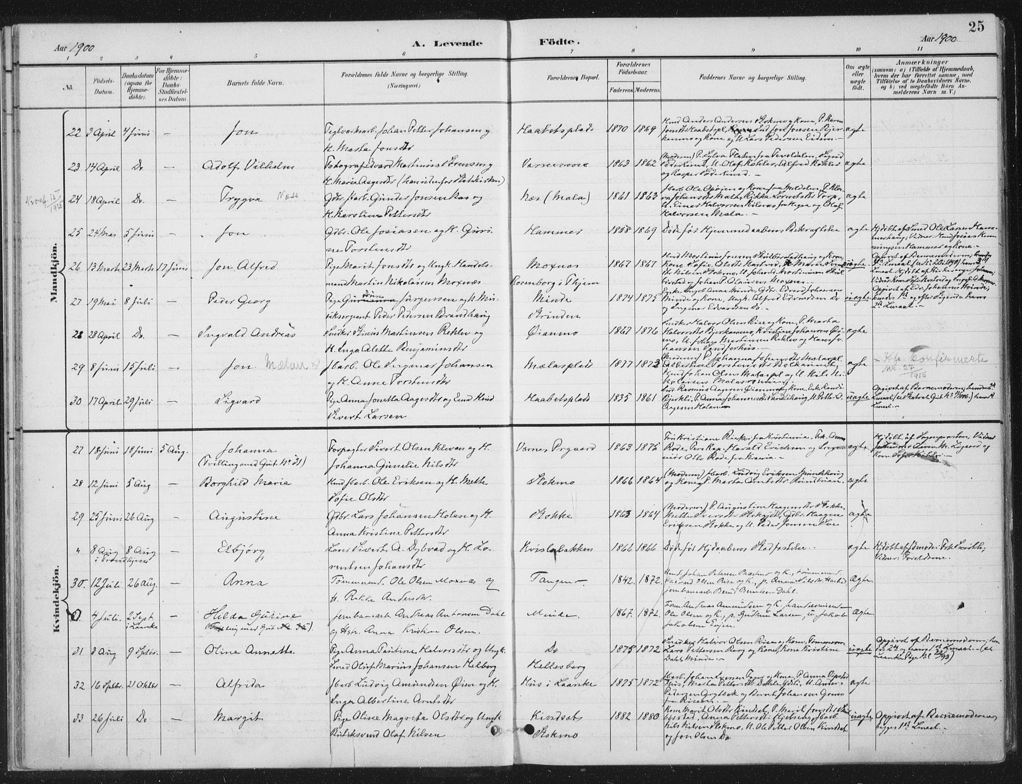 Ministerialprotokoller, klokkerbøker og fødselsregistre - Nord-Trøndelag, AV/SAT-A-1458/709/L0082: Parish register (official) no. 709A22, 1896-1916, p. 25