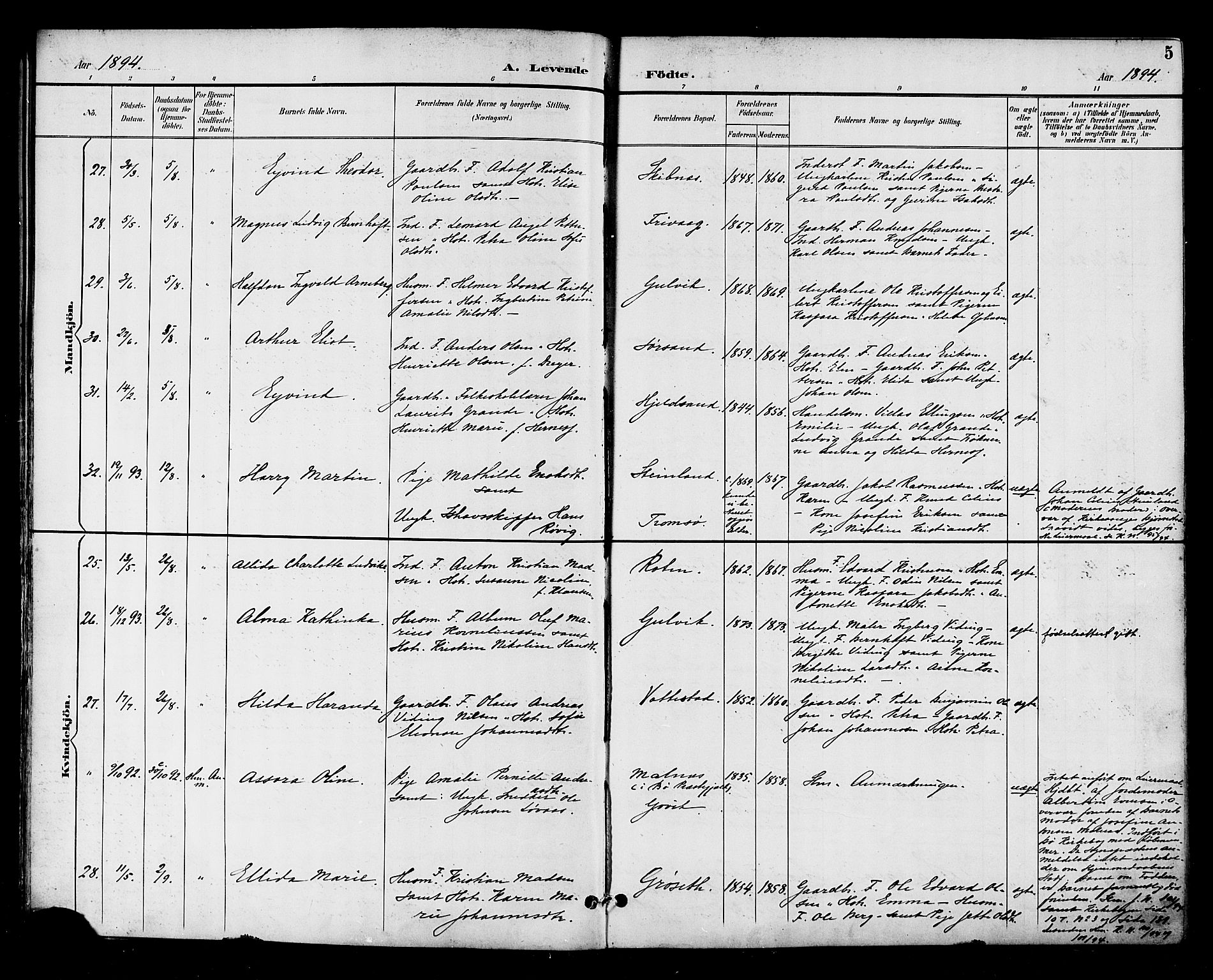 Ministerialprotokoller, klokkerbøker og fødselsregistre - Nordland, SAT/A-1459/893/L1338: Parish register (official) no. 893A10, 1894-1903, p. 5