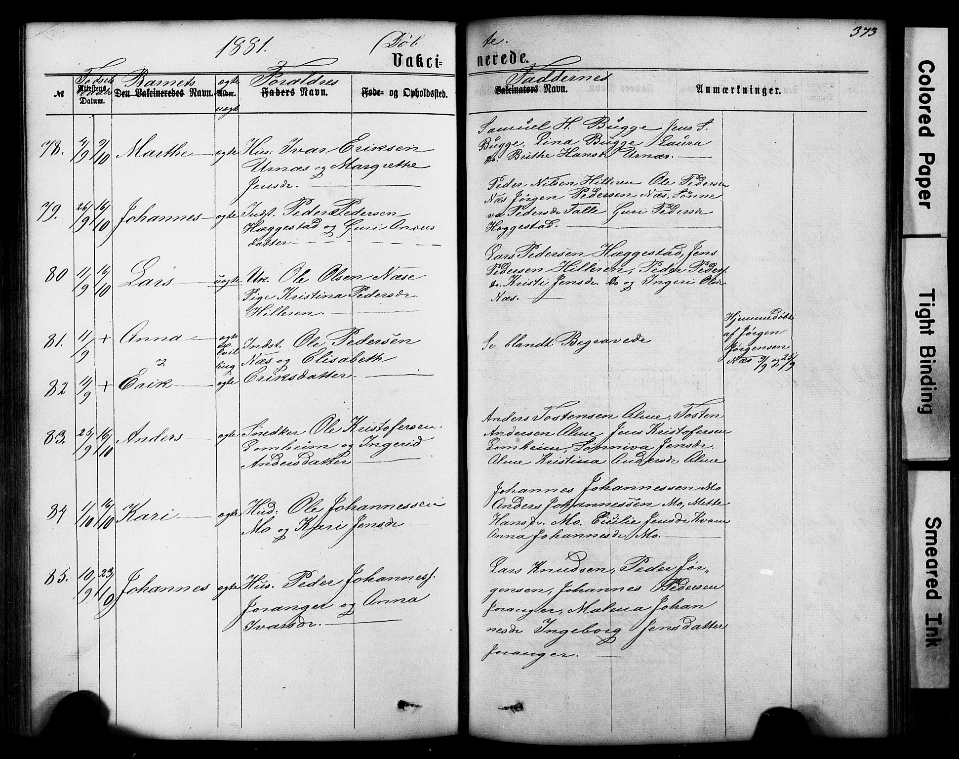 Hafslo sokneprestembete, AV/SAB-A-80301/H/Hab/Haba/L0001: Parish register (copy) no. A 1, 1866-1908, p. 373