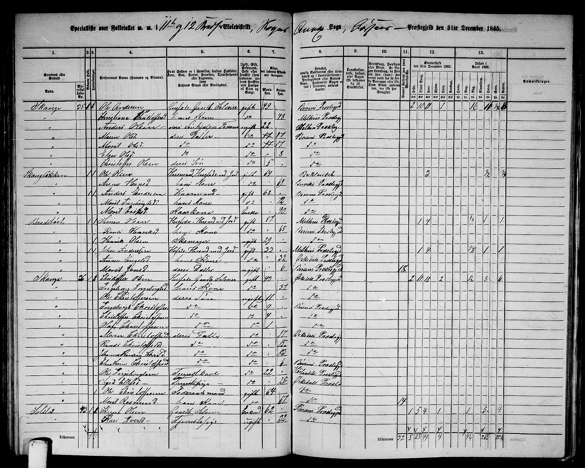 RA, 1865 census for Børsa, 1865, p. 118