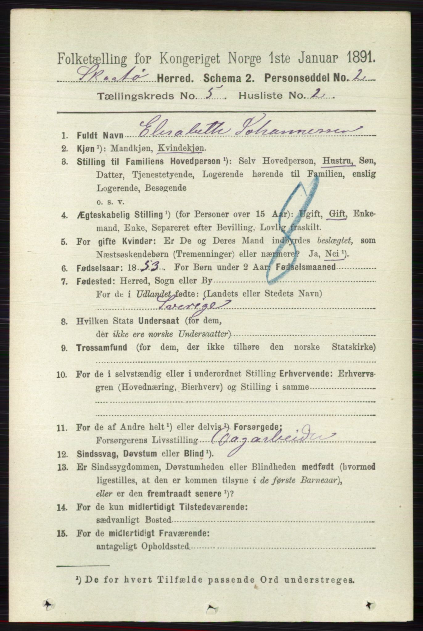 RA, 1891 census for 0815 Skåtøy, 1891, p. 1924