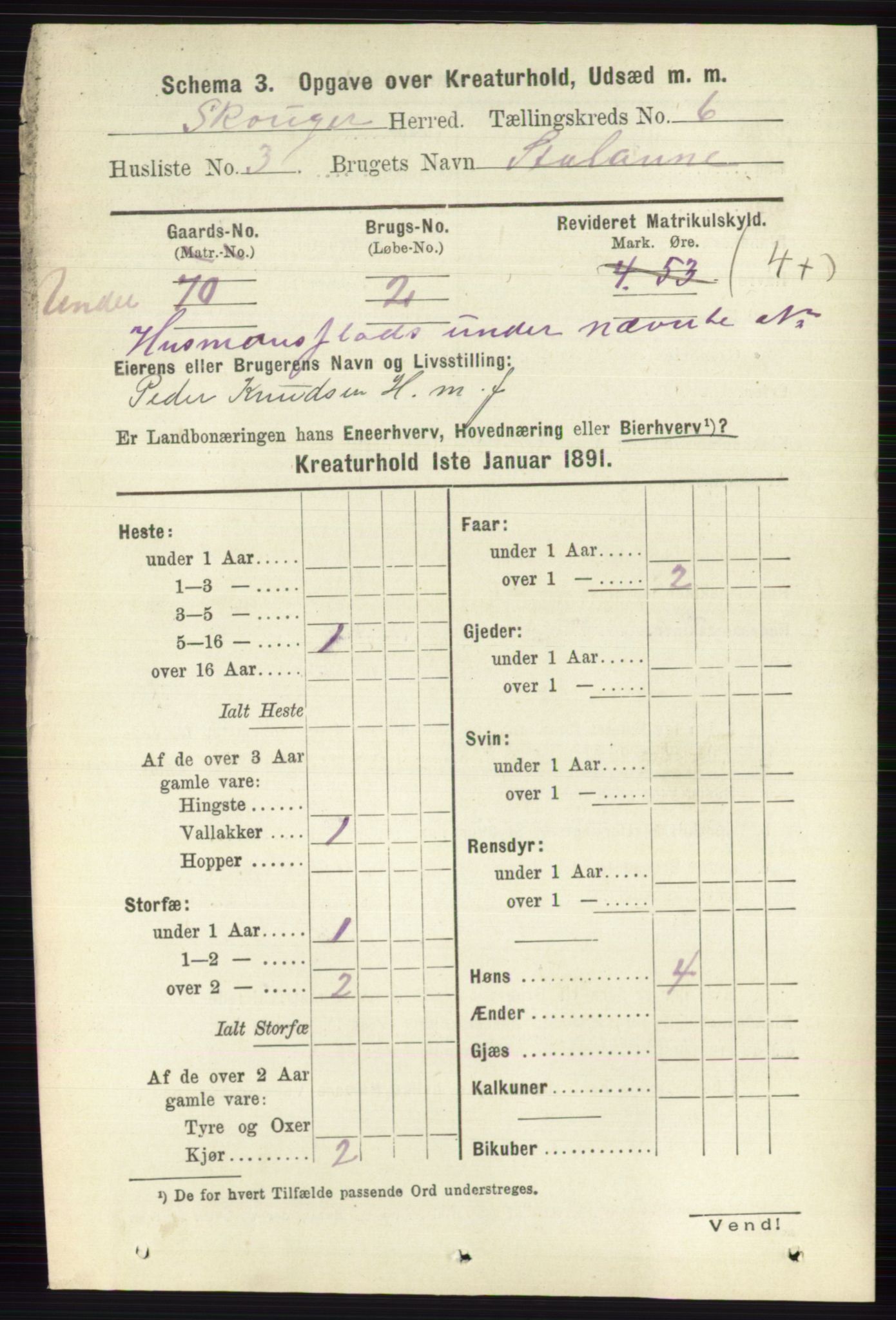 RA, 1891 census for 0712 Skoger, 1891, p. 5193