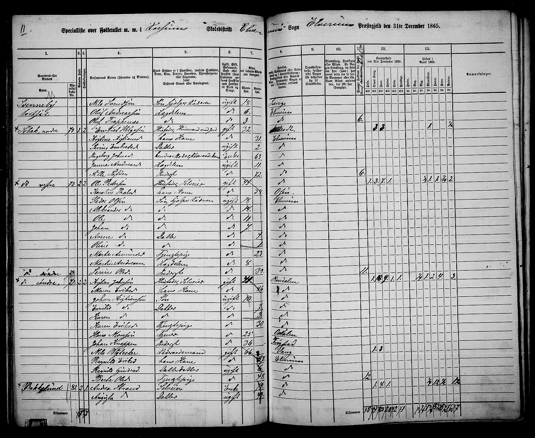 RA, 1865 census for Elverum, 1865, p. 110