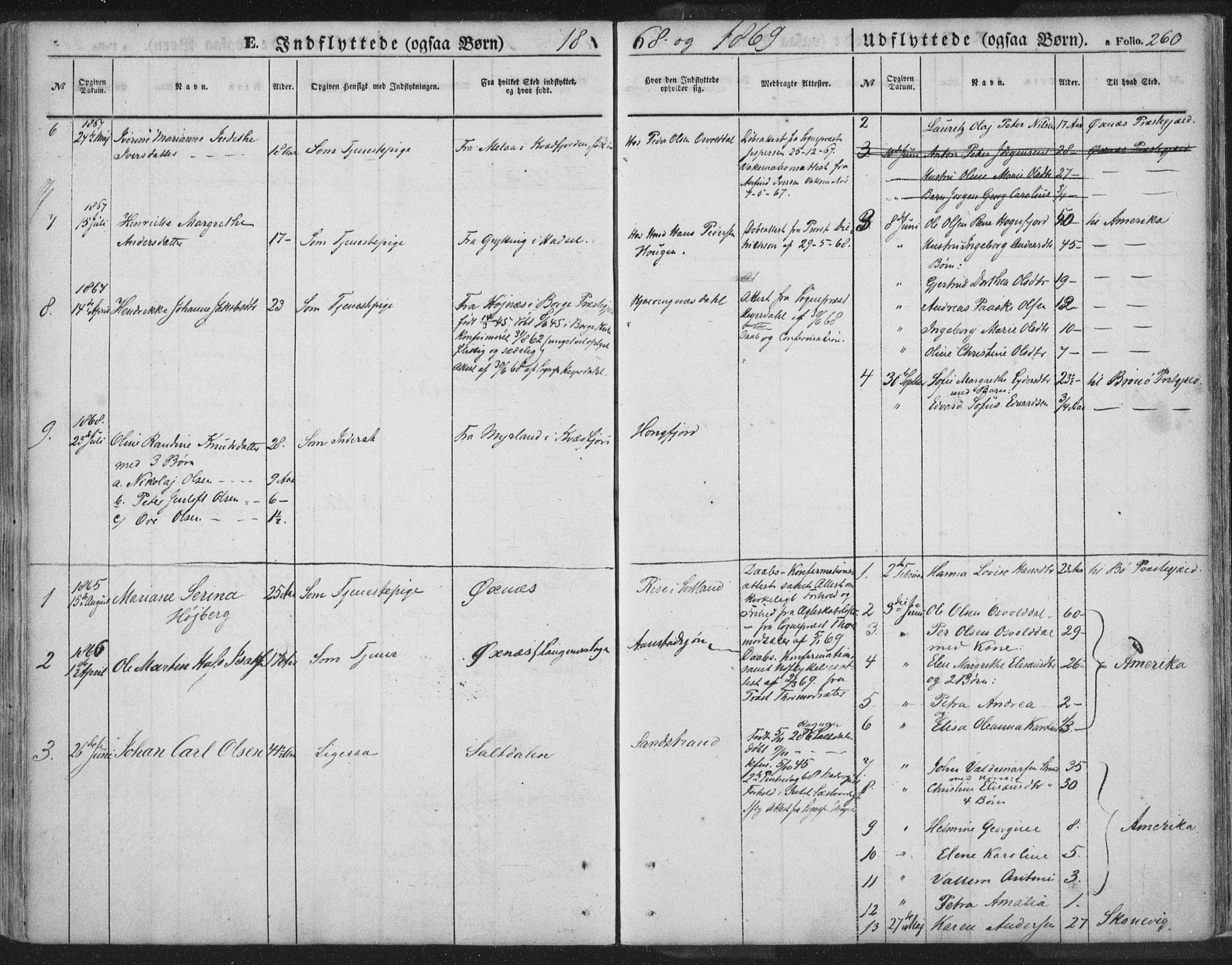 Ministerialprotokoller, klokkerbøker og fødselsregistre - Nordland, AV/SAT-A-1459/895/L1369: Parish register (official) no. 895A04, 1852-1872, p. 260