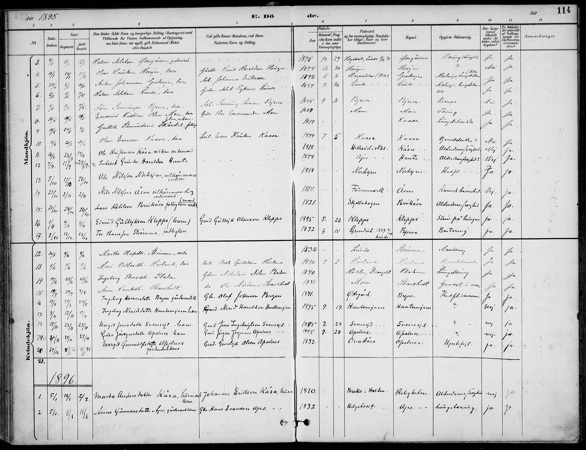Lunde kirkebøker, SAKO/A-282/F/Fa/L0003: Parish register (official) no. I 3, 1893-1902, p. 114