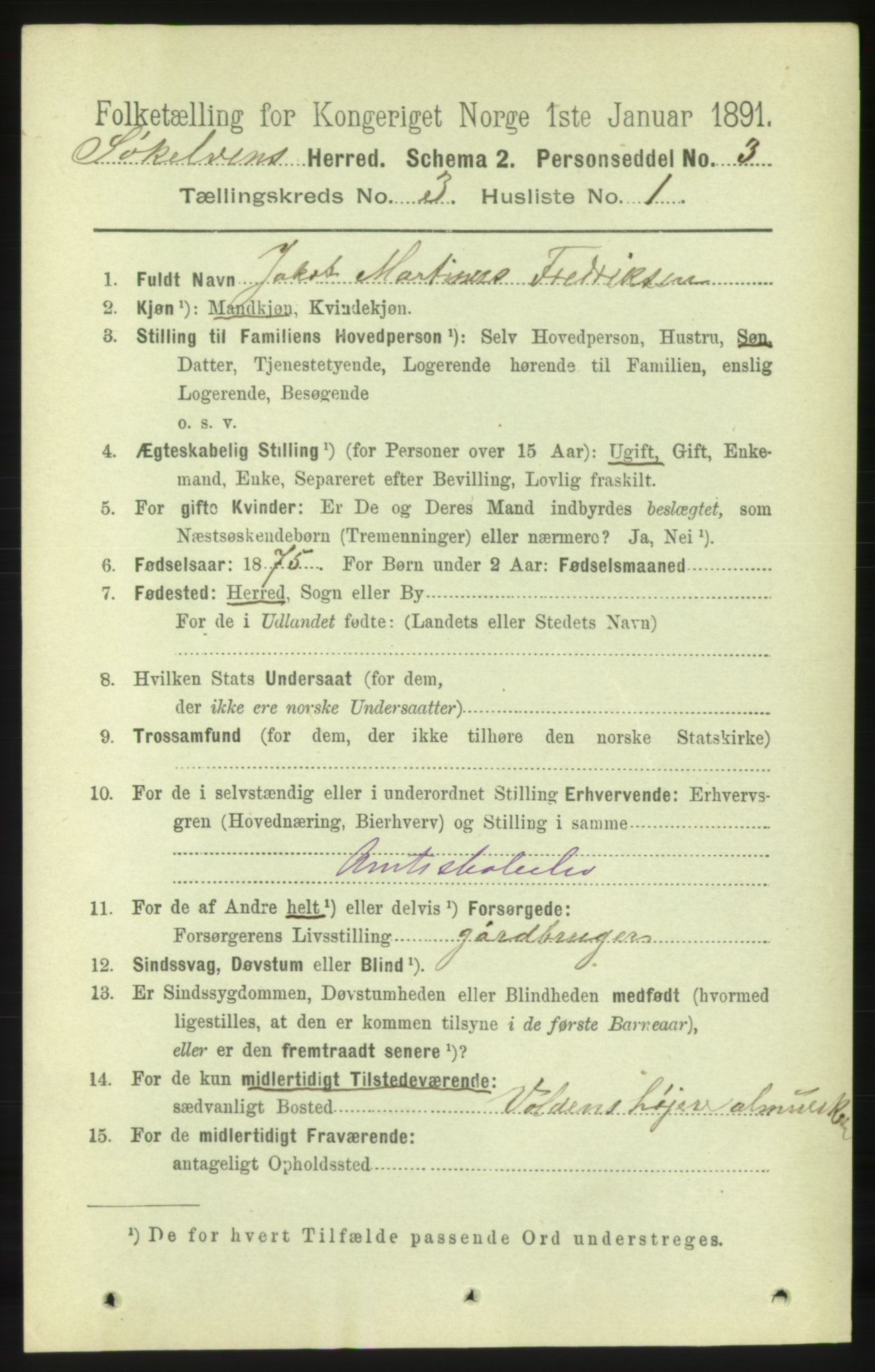 RA, 1891 census for 1528 Sykkylven, 1891, p. 1681