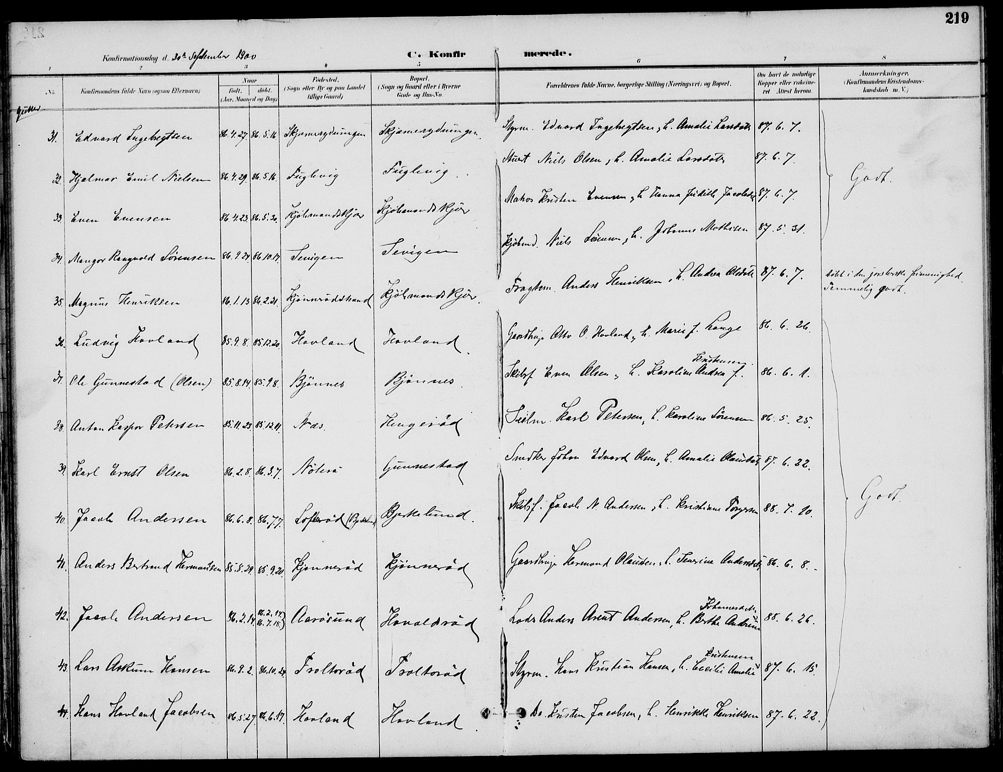 Nøtterøy kirkebøker, AV/SAKO-A-354/F/Fa/L0009: Parish register (official) no. I 9, 1894-1907, p. 219