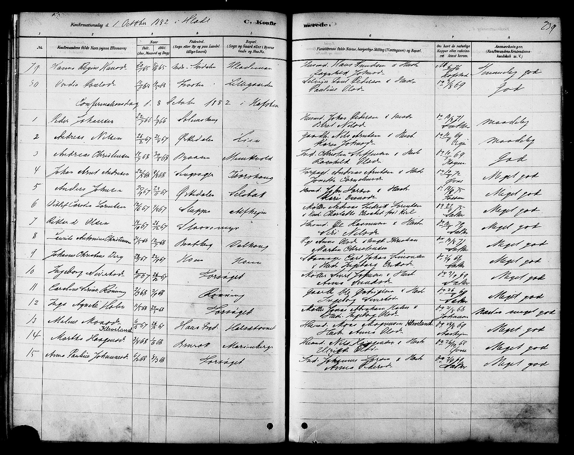 Ministerialprotokoller, klokkerbøker og fødselsregistre - Sør-Trøndelag, SAT/A-1456/606/L0294: Parish register (official) no. 606A09, 1878-1886, p. 239