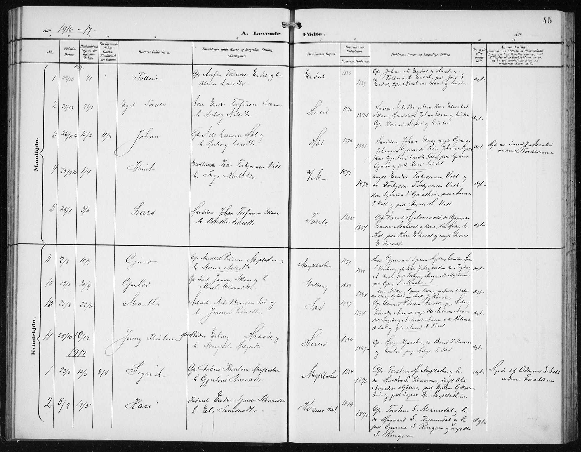 Ullensvang sokneprestembete, SAB/A-78701/H/Hab: Parish register (copy) no. C  3, 1899-1932, p. 45