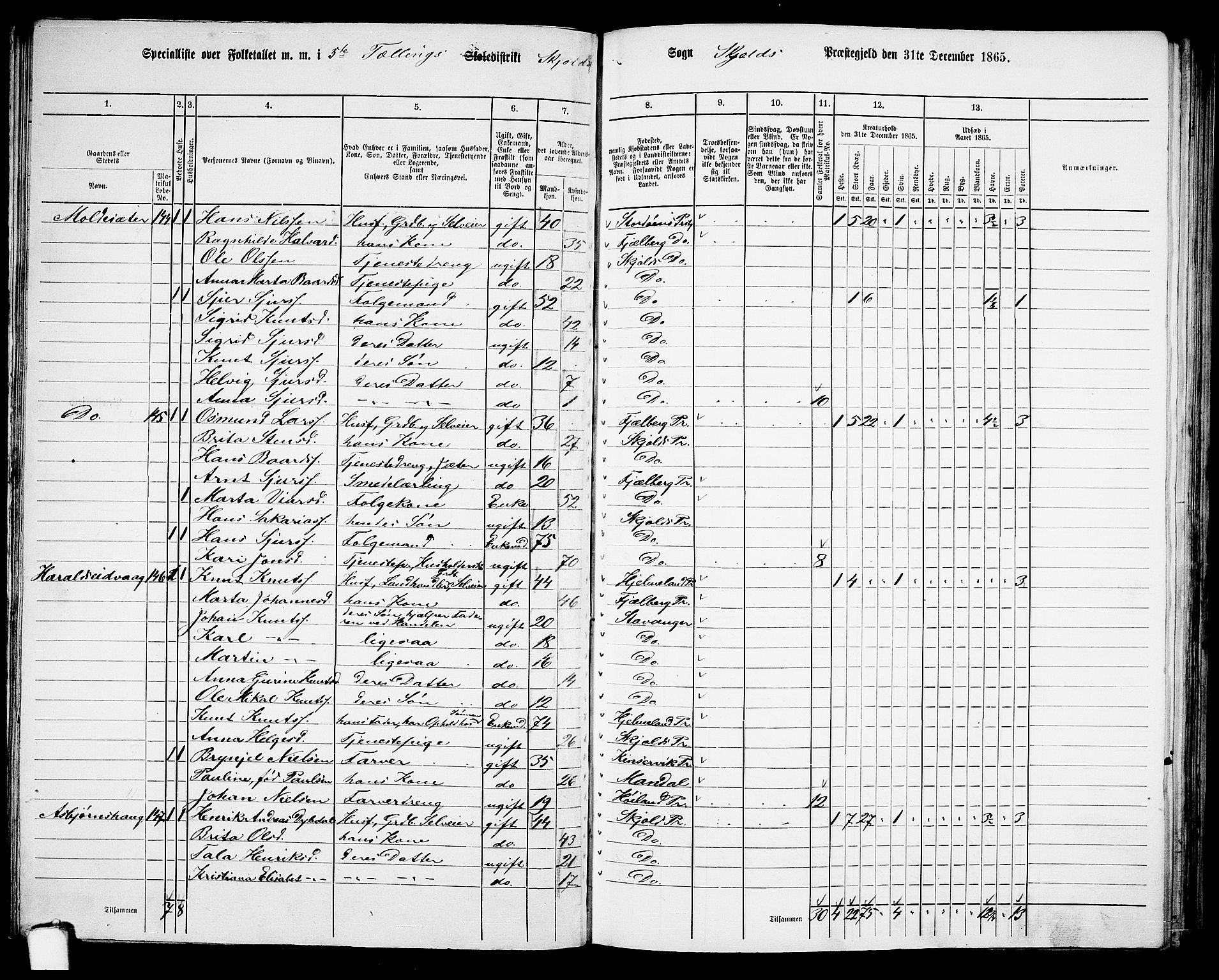 RA, 1865 census for Skjold, 1865, p. 68