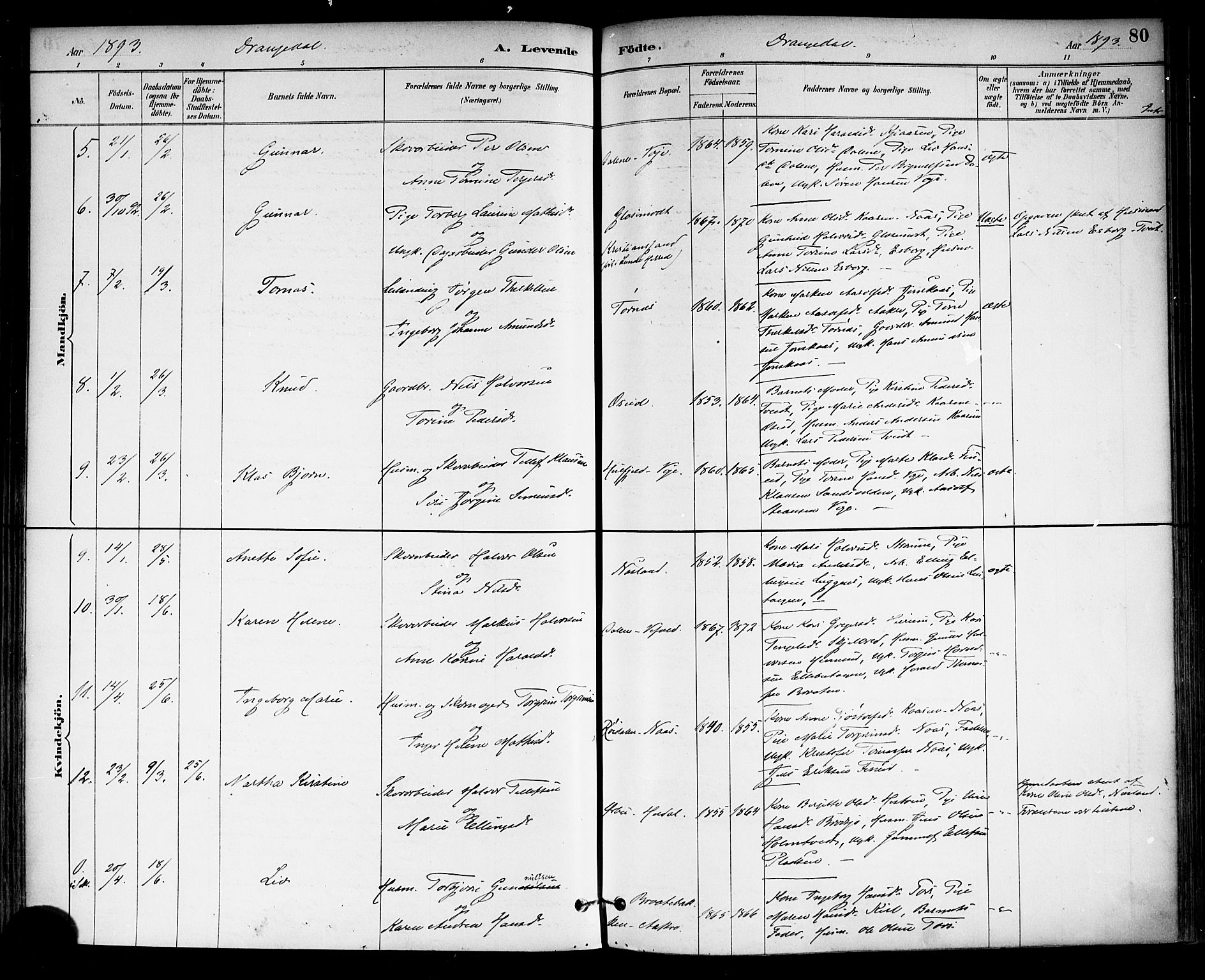 Drangedal kirkebøker, SAKO/A-258/F/Fa/L0010: Parish register (official) no. 10 /1, 1885-1894, p. 80