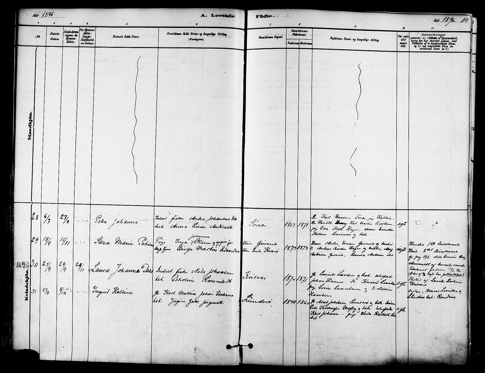 Ministerialprotokoller, klokkerbøker og fødselsregistre - Nordland, AV/SAT-A-1459/839/L0568: Parish register (official) no. 839A05, 1880-1902, p. 114