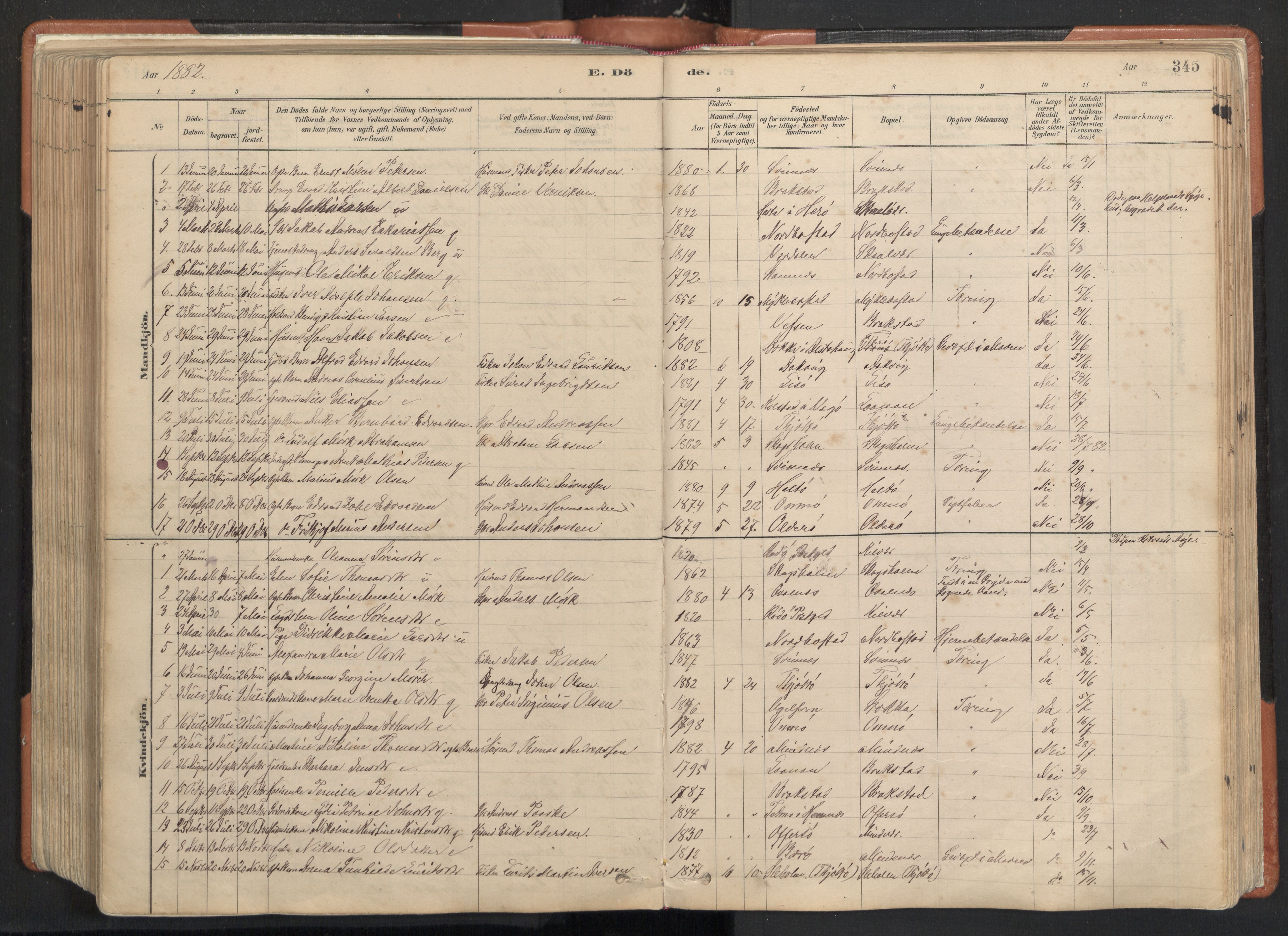 Ministerialprotokoller, klokkerbøker og fødselsregistre - Nordland, AV/SAT-A-1459/817/L0264: Parish register (official) no. 817A04, 1878-1907, p. 345