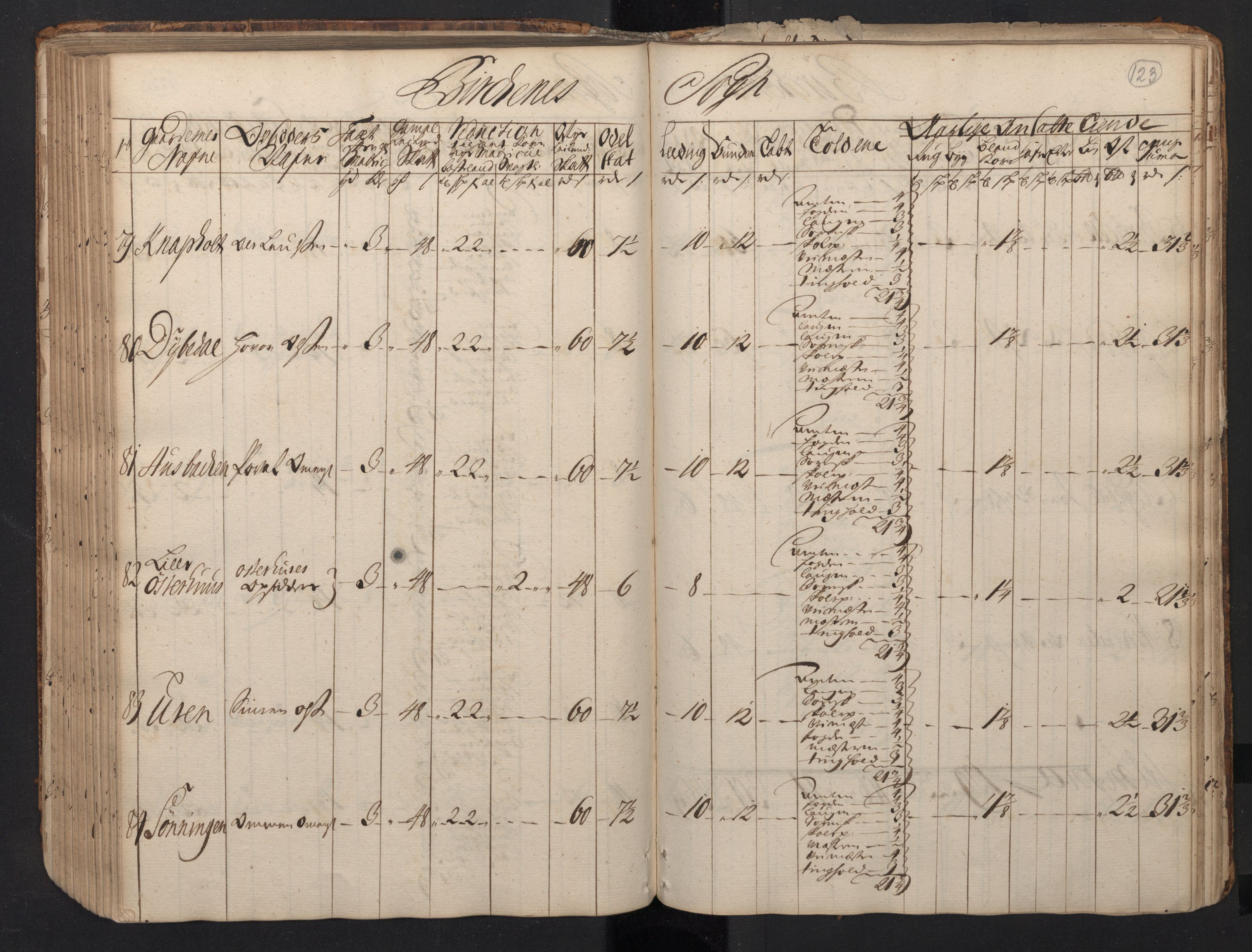 Rentekammeret inntil 1814, Realistisk ordnet avdeling, AV/RA-EA-4070/N/Nb/Nbf/L0123: Nedenes matrikkelprotokoll, 1723, p. 125