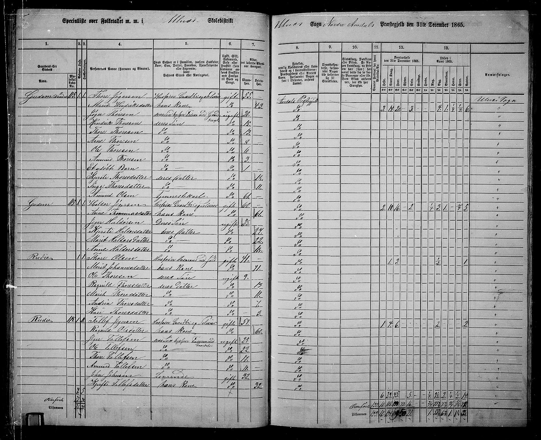 RA, 1865 census for Nord-Aurdal, 1865, p. 114