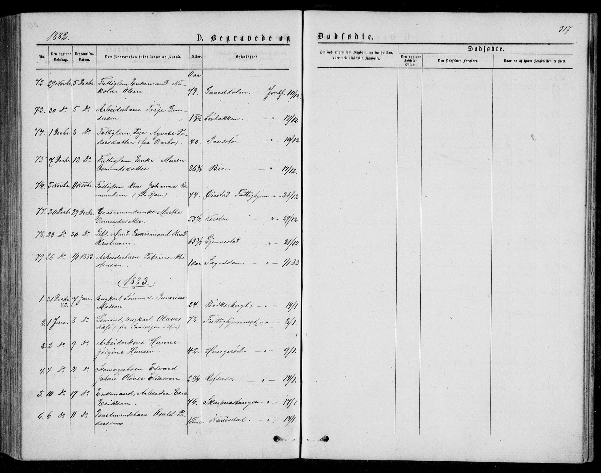 Øyestad sokneprestkontor, AV/SAK-1111-0049/F/Fb/L0008: Parish register (copy) no. B 8, 1872-1886, p. 317