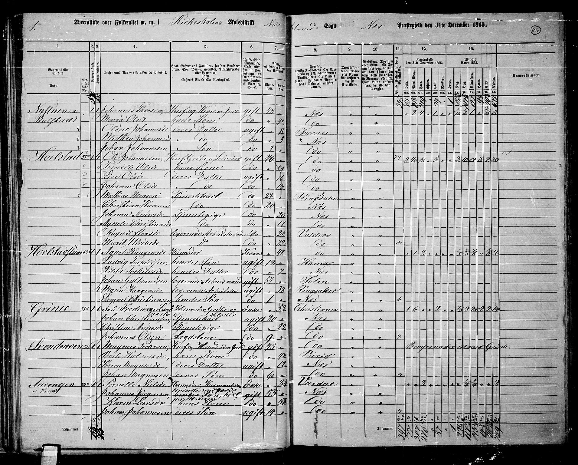RA, 1865 census for Nes, 1865, p. 59