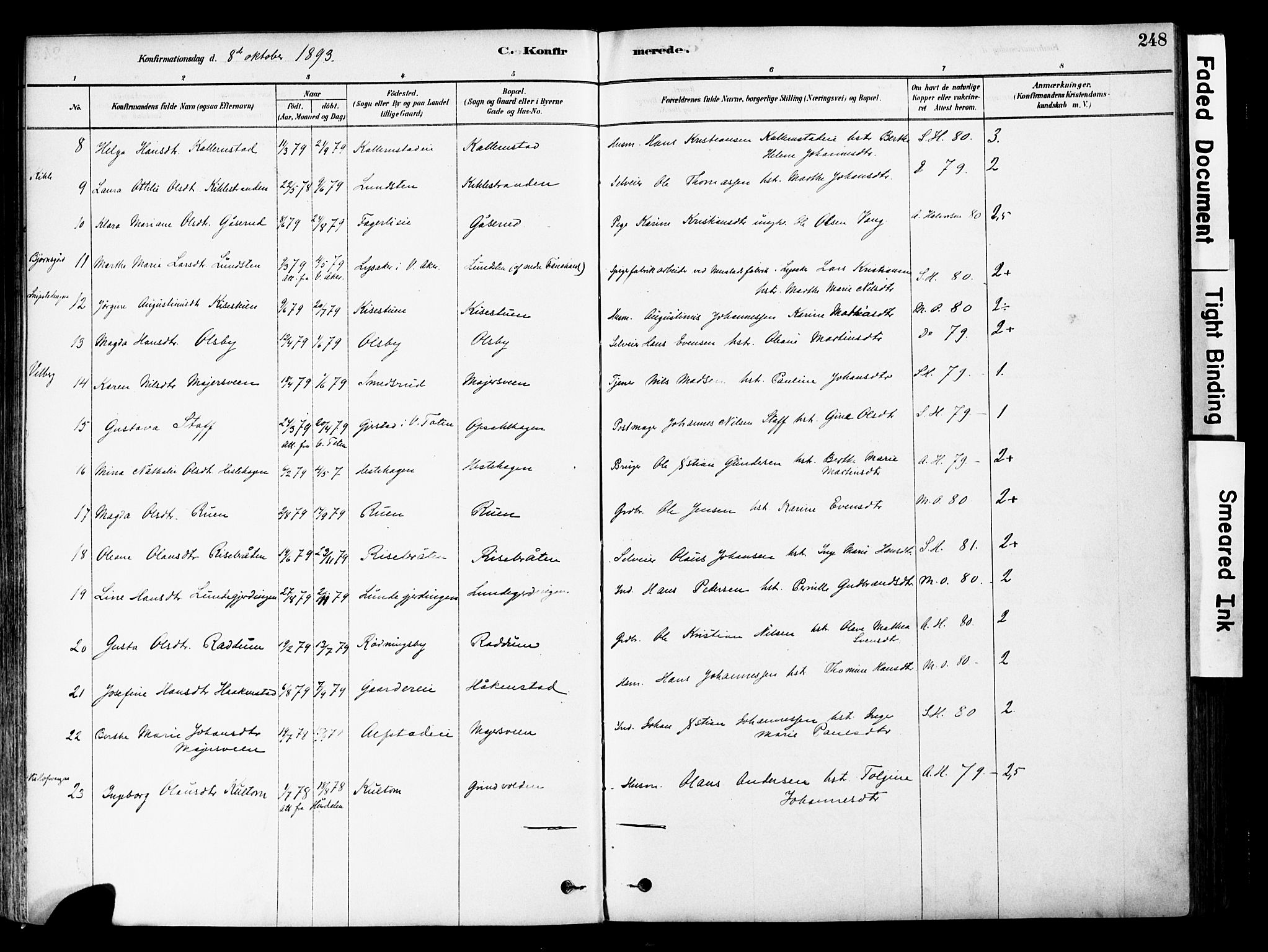 Østre Toten prestekontor, SAH/PREST-104/H/Ha/Haa/L0006: Parish register (official) no. 6 /1, 1878-1896, p. 248