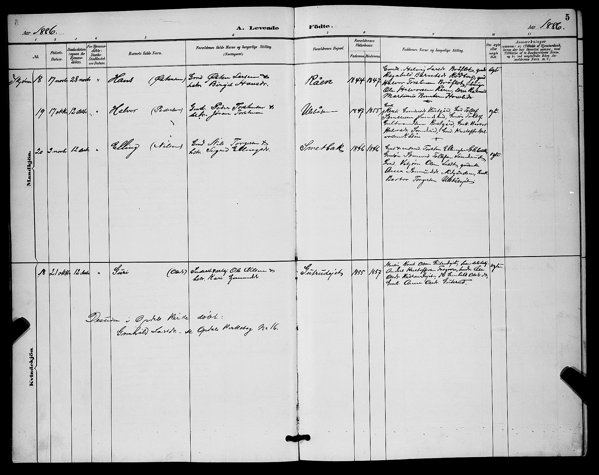 Nore kirkebøker, AV/SAKO-A-238/G/Ga/L0003: Parish register (copy) no. I 3, 1886-1903, p. 5