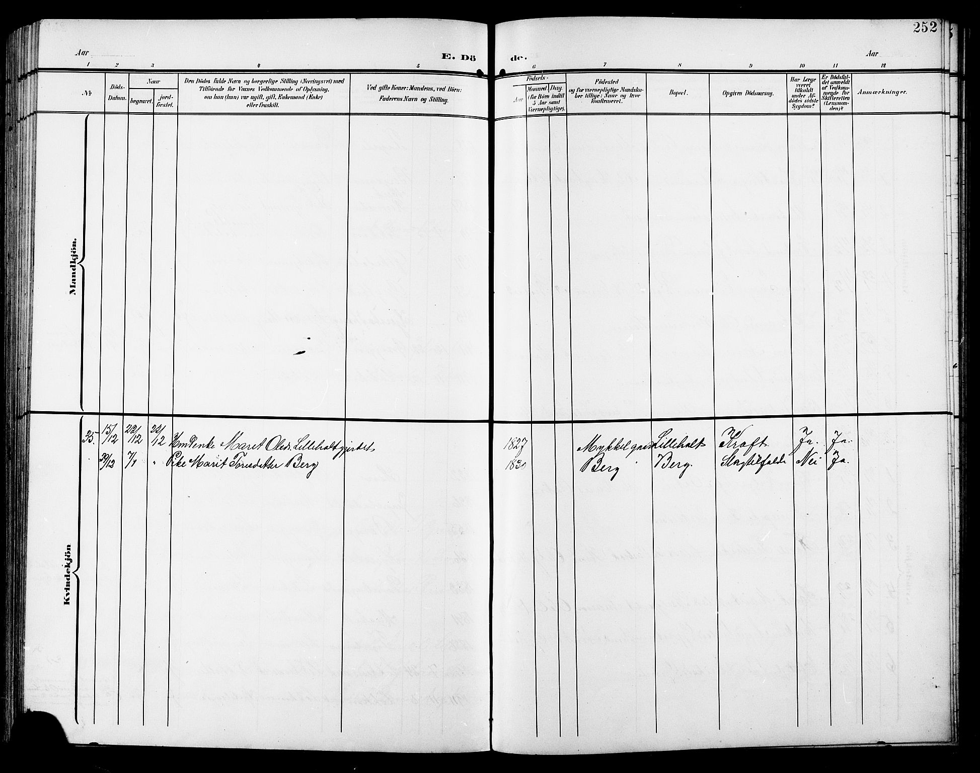 Ministerialprotokoller, klokkerbøker og fødselsregistre - Sør-Trøndelag, AV/SAT-A-1456/672/L0864: Parish register (copy) no. 672C03, 1902-1914, p. 252