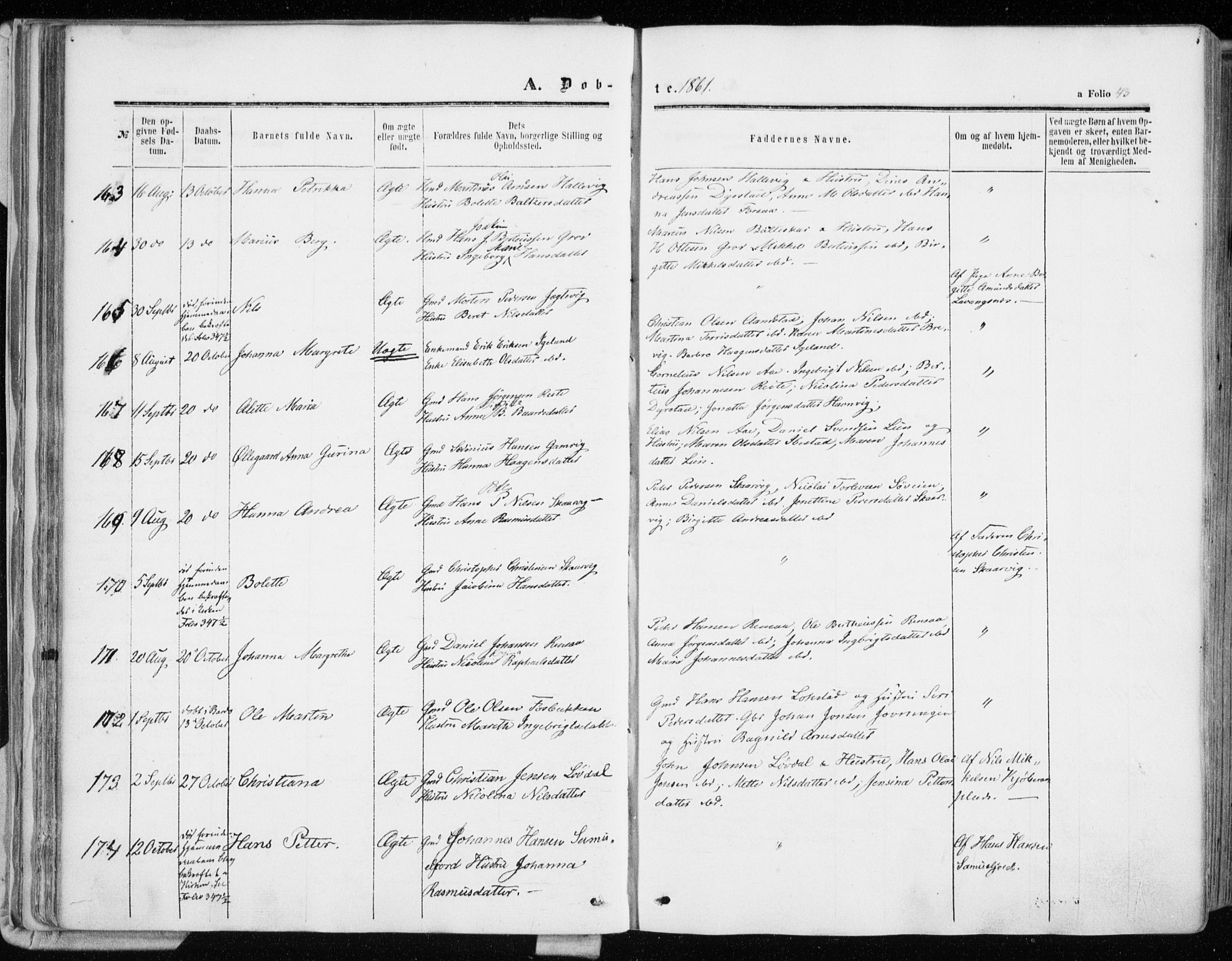 Ibestad sokneprestembete, SATØ/S-0077/H/Ha/Haa/L0009kirke: Parish register (official) no. 9, 1859-1868, p. 43