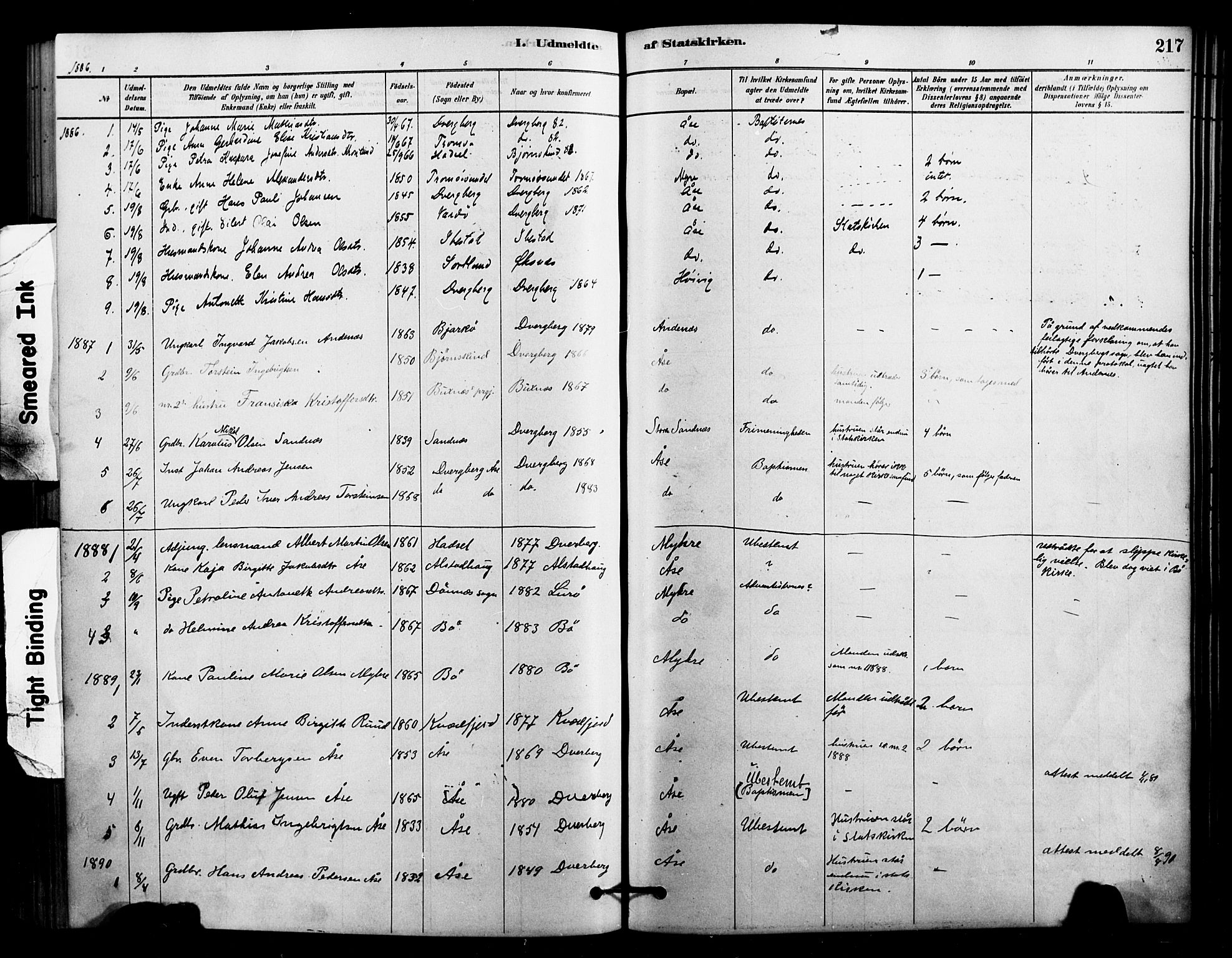 Ministerialprotokoller, klokkerbøker og fødselsregistre - Nordland, AV/SAT-A-1459/897/L1399: Parish register (official) no. 897C06, 1881-1896, p. 217