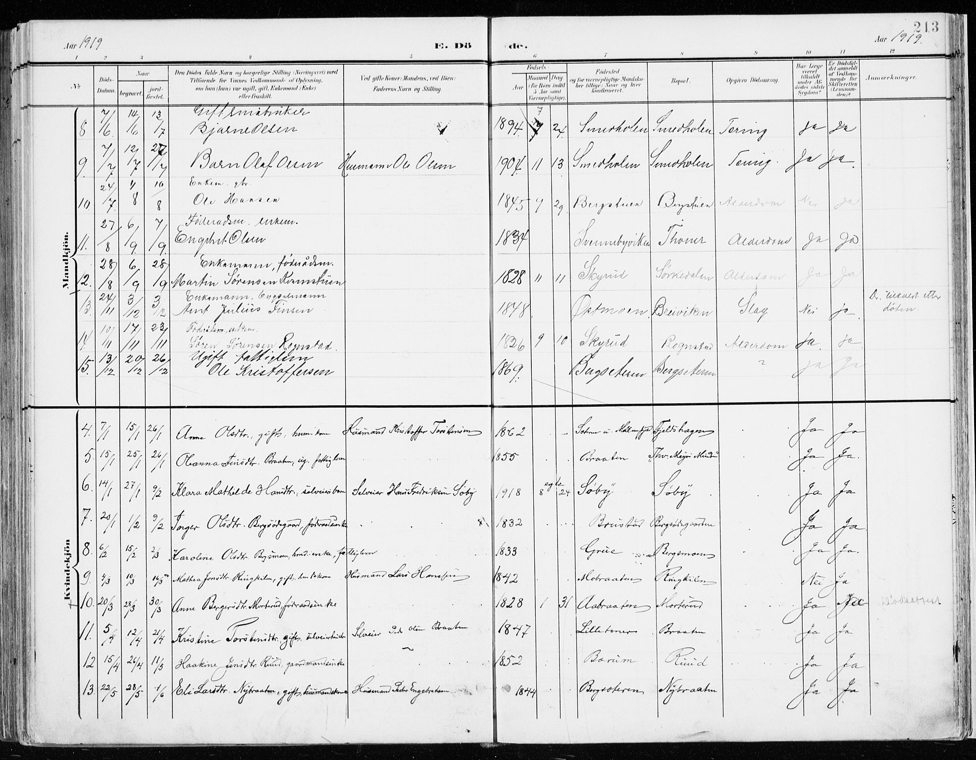 Nord-Odal prestekontor, SAH/PREST-032/H/Ha/Haa/L0009: Parish register (official) no. 9, 1902-1926, p. 213