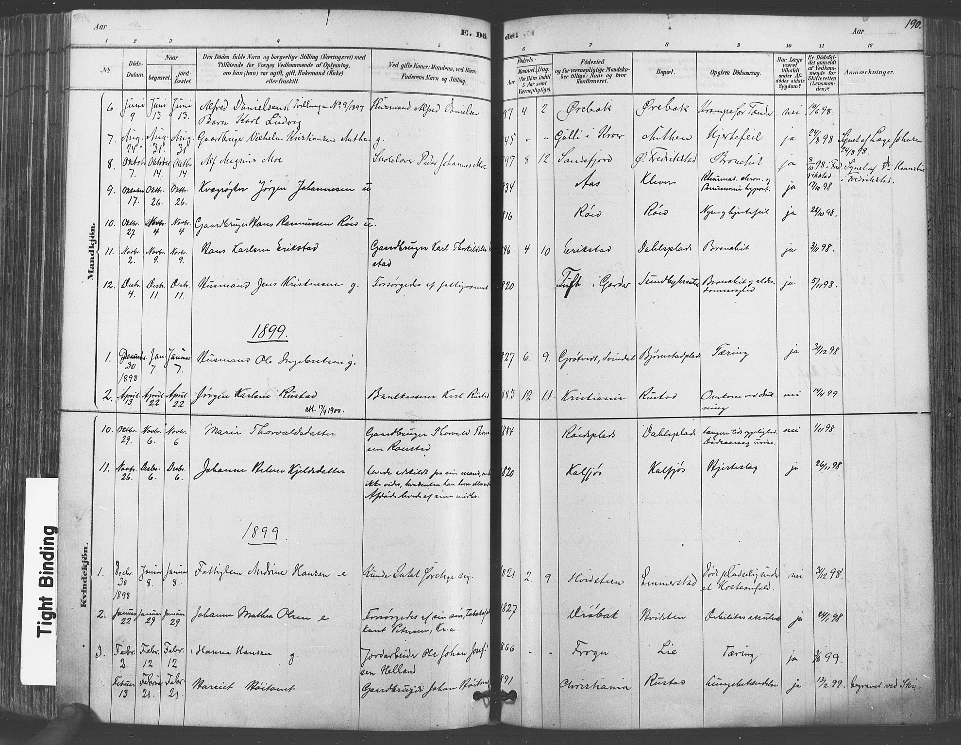 Vestby prestekontor Kirkebøker, AV/SAO-A-10893/F/Fa/L0009: Parish register (official) no. I 9, 1878-1900, p. 190