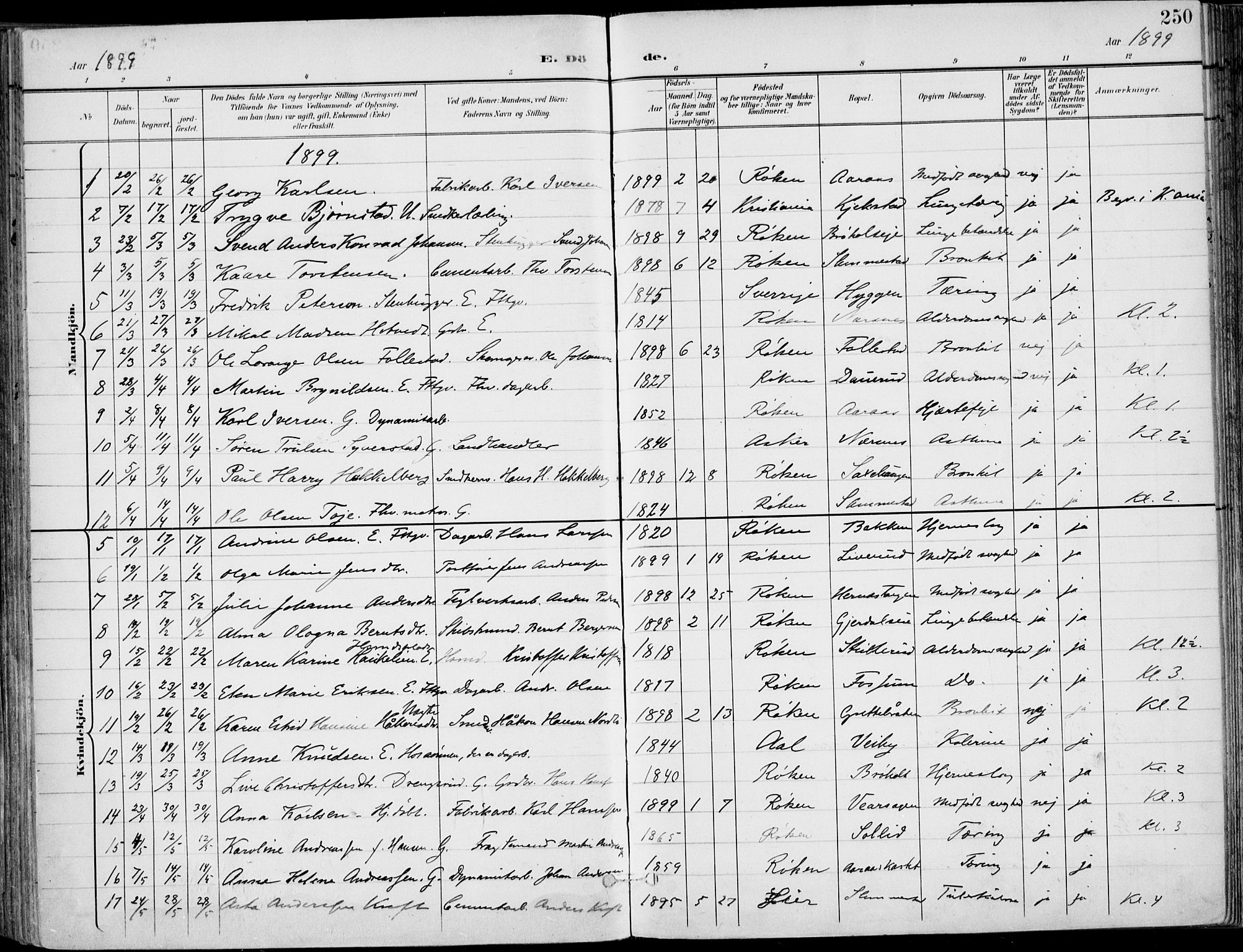 Røyken kirkebøker, SAKO/A-241/F/Fa/L0009: Parish register (official) no. 9, 1898-1911, p. 250