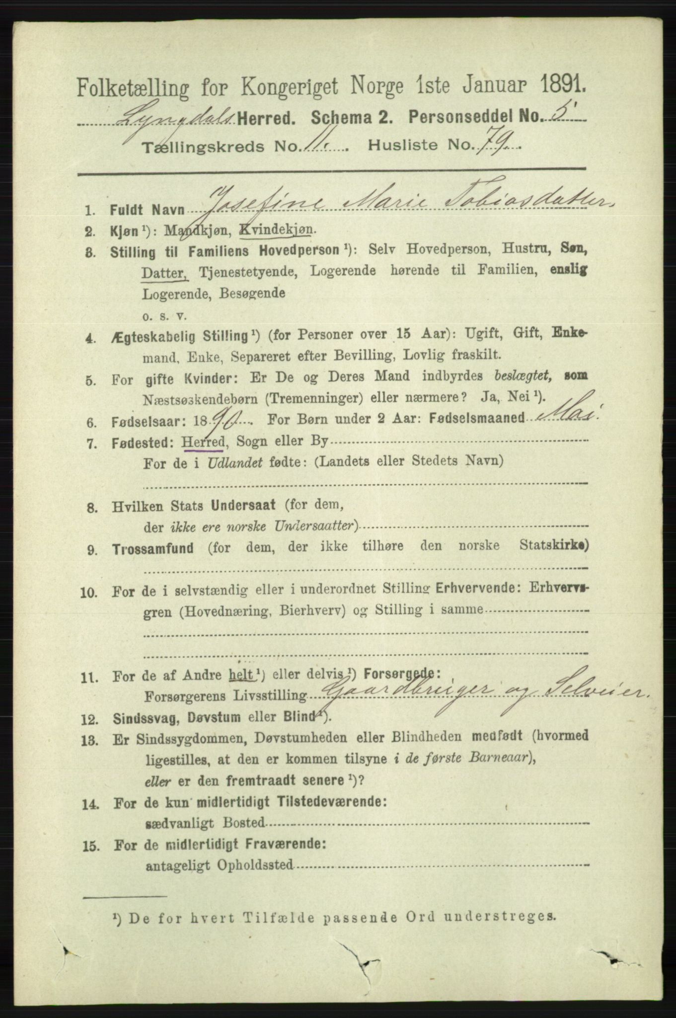 RA, 1891 census for 1032 Lyngdal, 1891, p. 5183