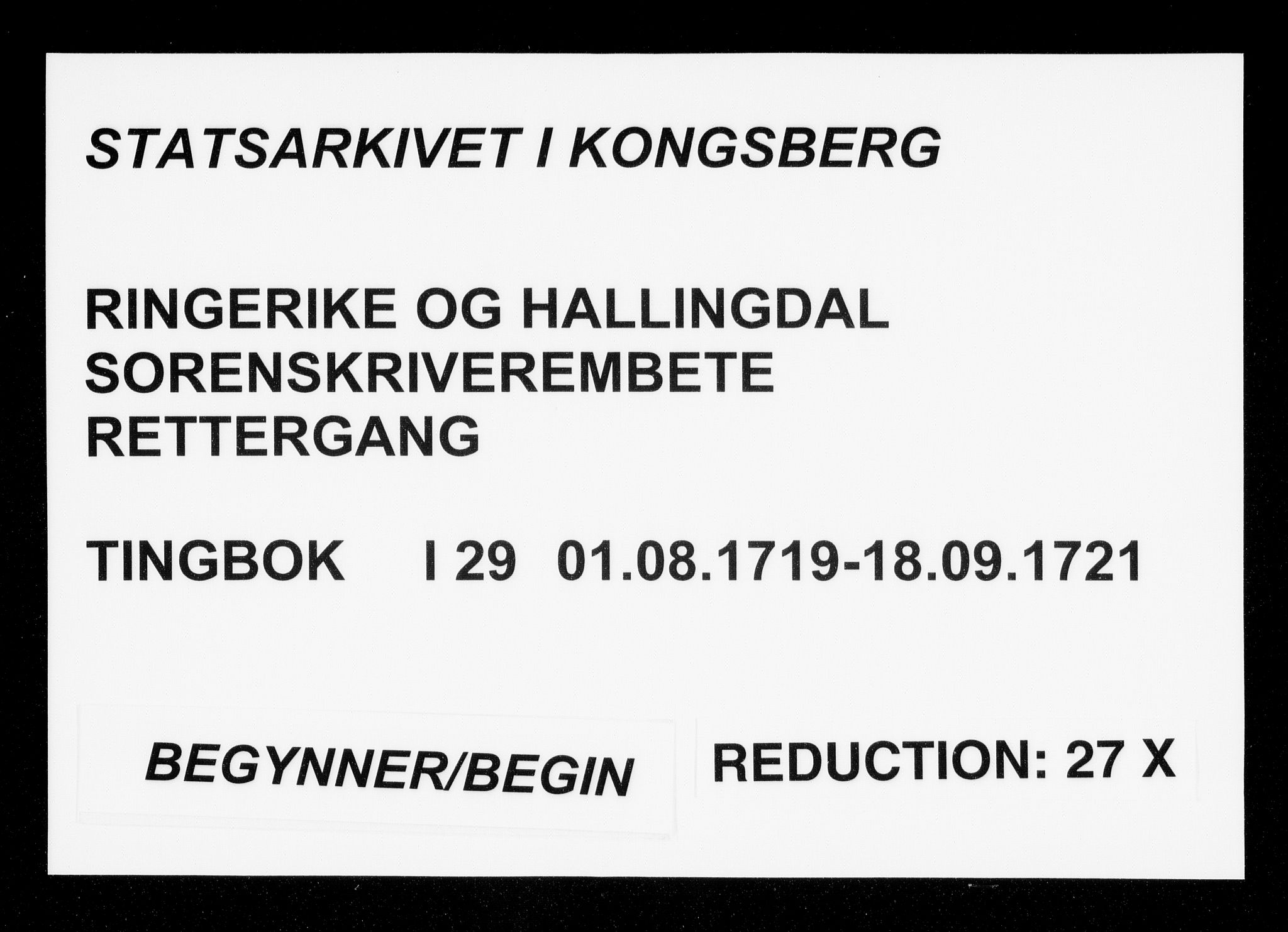 Ringerike og Hallingdal sorenskriveri, AV/SAKO-A-81/F/Fa/Faa/L0029: Tingbok, 1719-1721