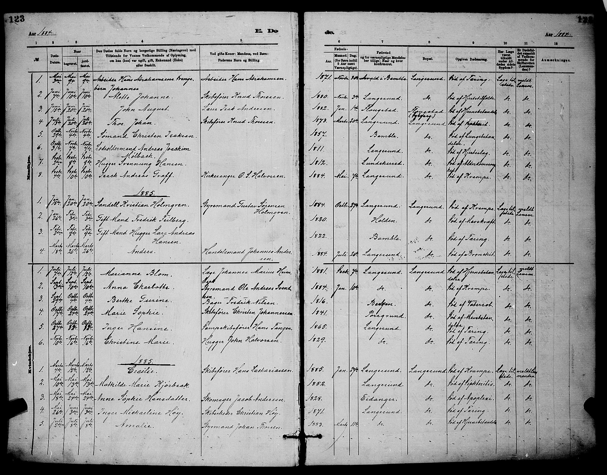 Langesund kirkebøker, AV/SAKO-A-280/G/Ga/L0005: Parish register (copy) no. 5, 1884-1898, p. 123