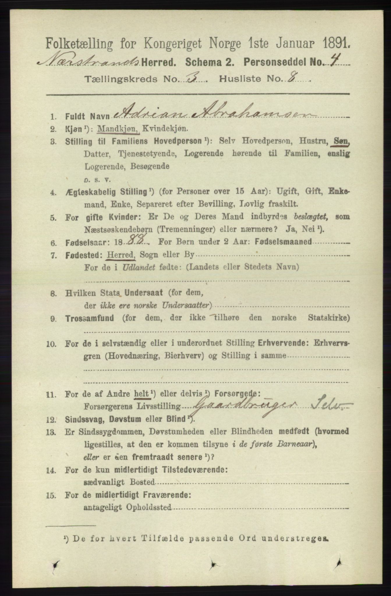 RA, 1891 census for 1139 Nedstrand, 1891, p. 505