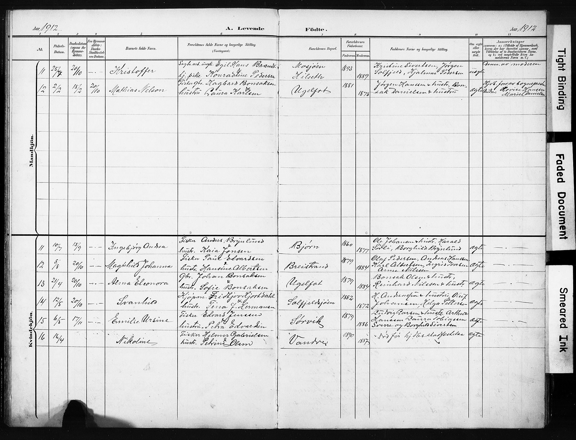 Ministerialprotokoller, klokkerbøker og fødselsregistre - Nordland, AV/SAT-A-1459/836/L0538: Parish register (copy) no. 836C02, 1901-1917