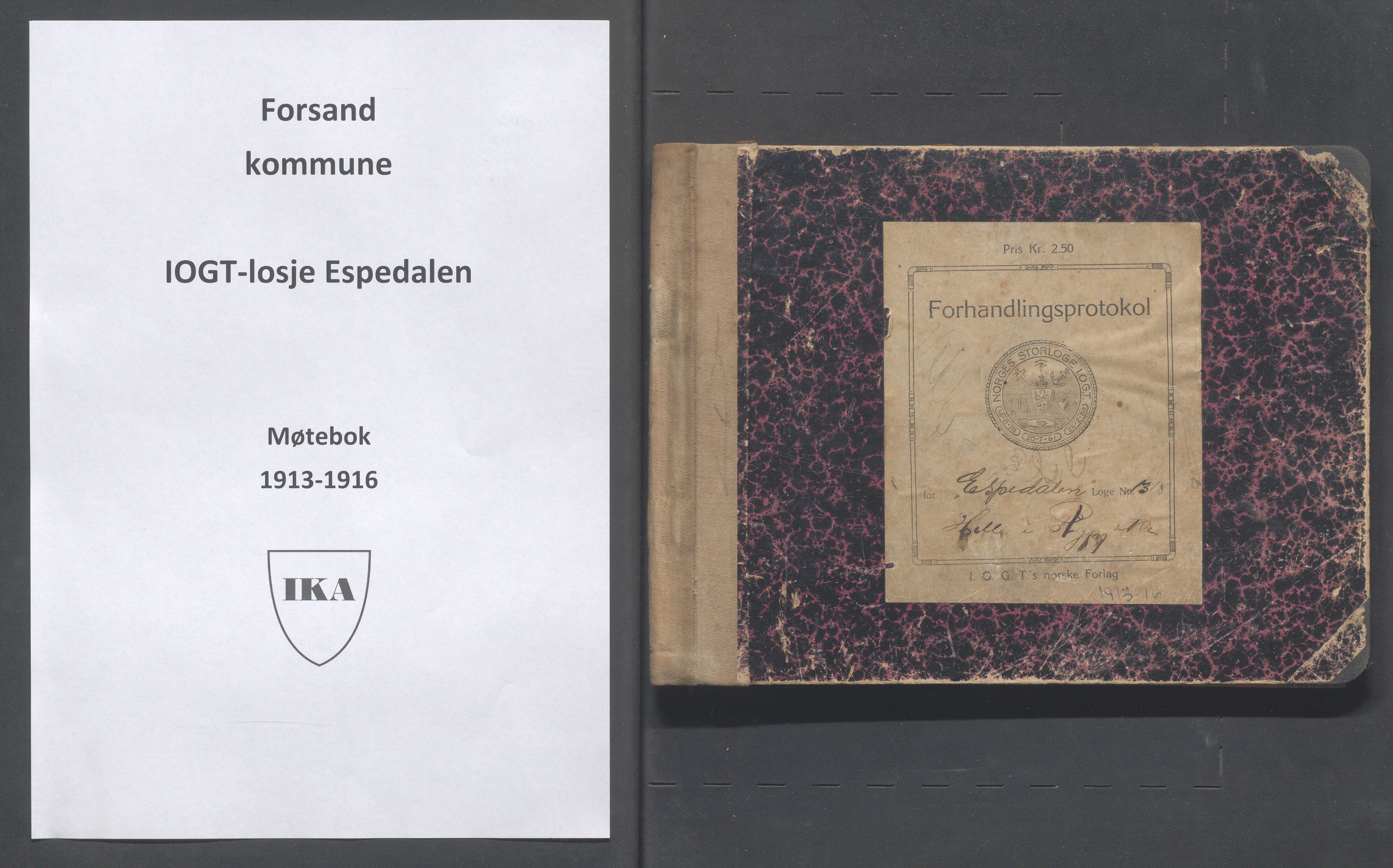 Forsand kommune - PA 5 IOGT-losje Espedalen, Helle (nr.1318), IKAR/K-101641/A/L0001: Møtebok, 1913-1916, p. 1